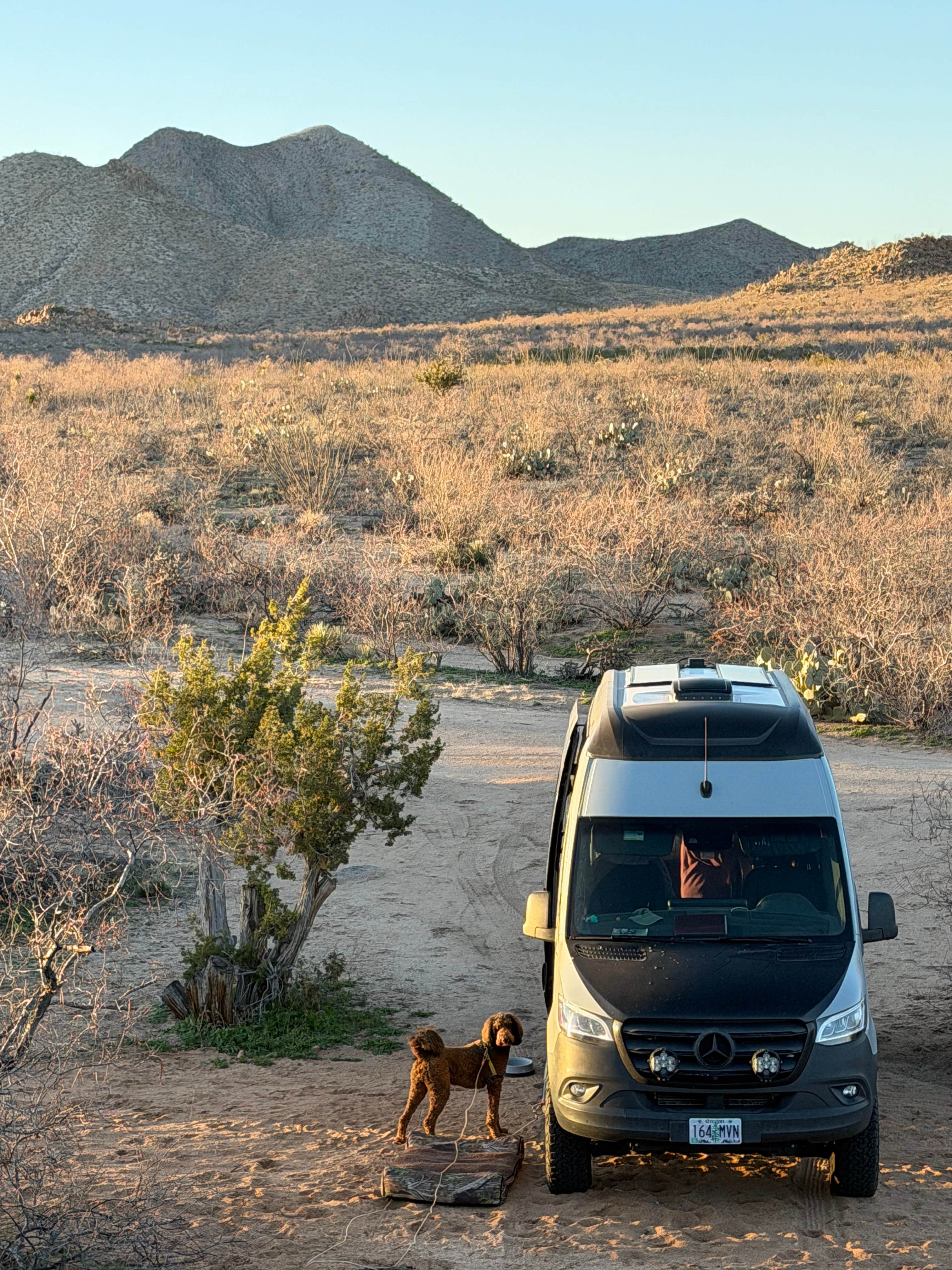 Terence G.'s photo of camping with pets at Granite Gap near Chiricahua, AZ