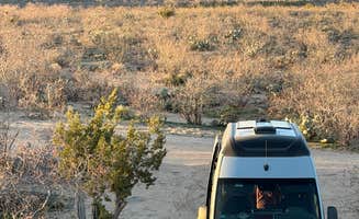 Terence G.'s photo of camping with pets at Granite Gap near Chiricahua, AZ
