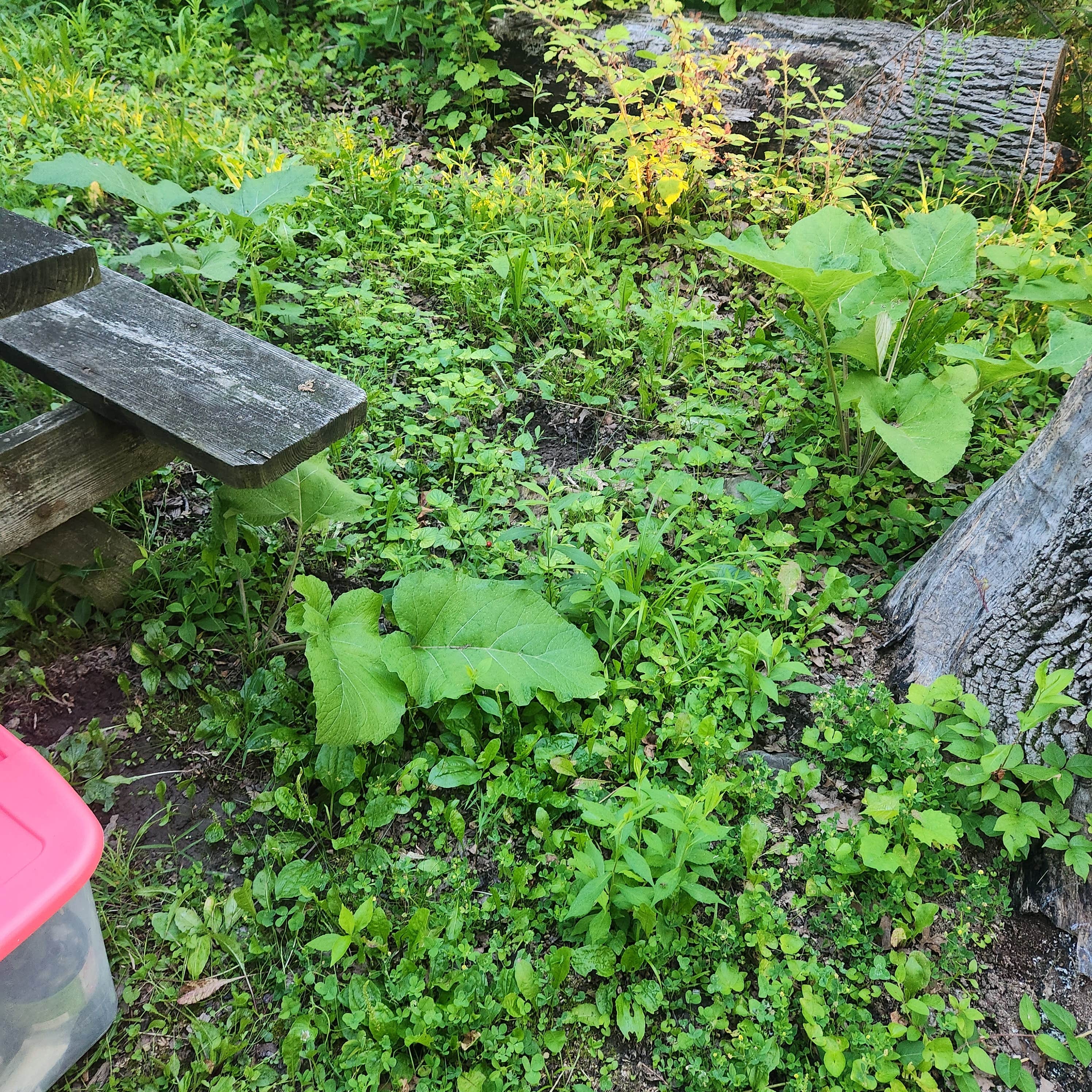 Camper-submitted photo at Granite Hill Camping Resort near Rouzerville, PA