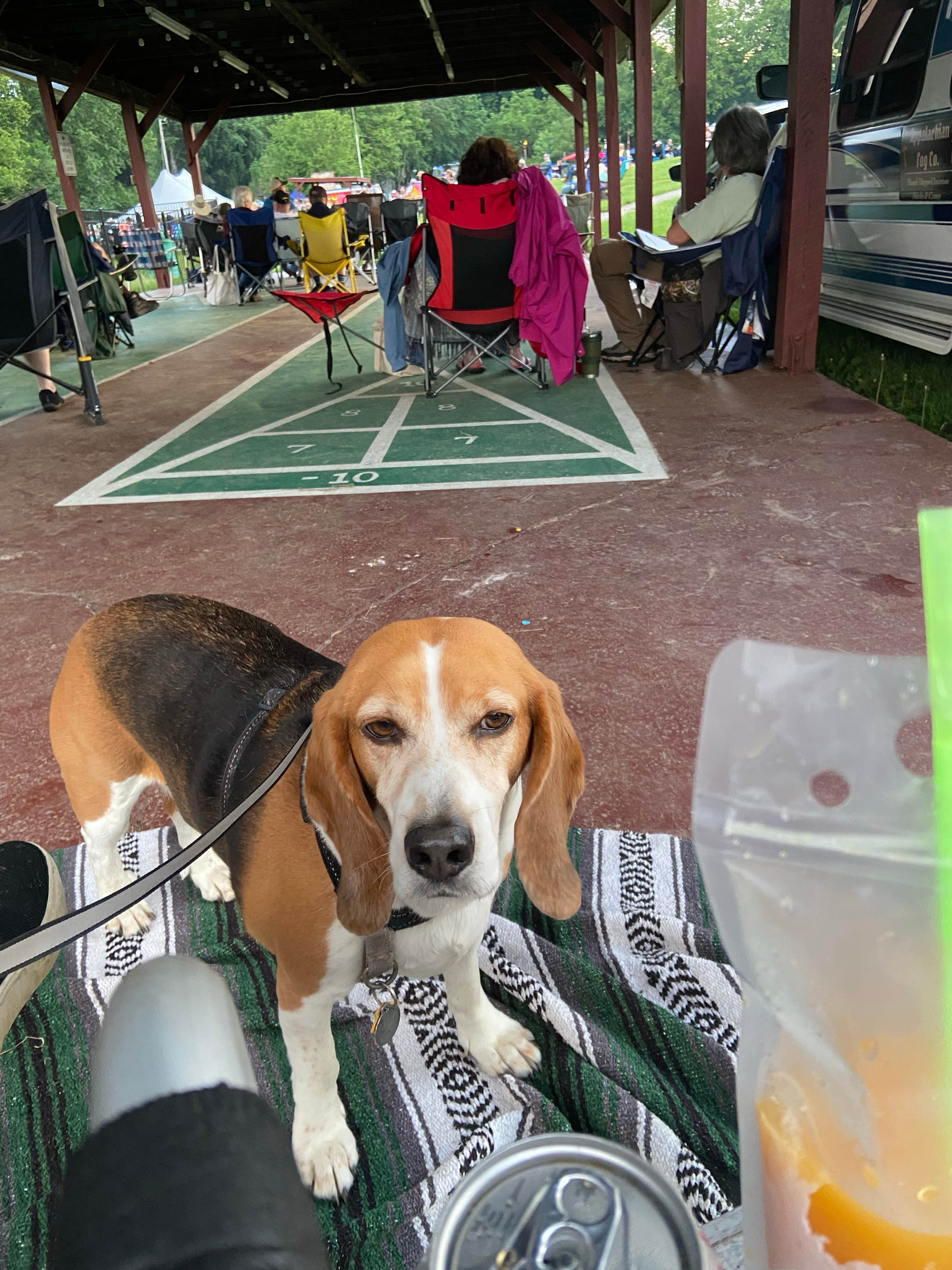Cindy P.'s photo of camping with pets at Granite Hill Camping Resort near Chambersburg, PA