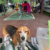 Review photo of Granite Hill Camping Resort by Cindy P., May 18, 2025
