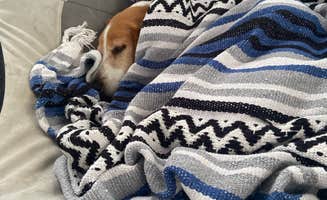 Cindy P.'s photo of camping with pets at Granite Hill Camping Resort near Chambersburg, PA