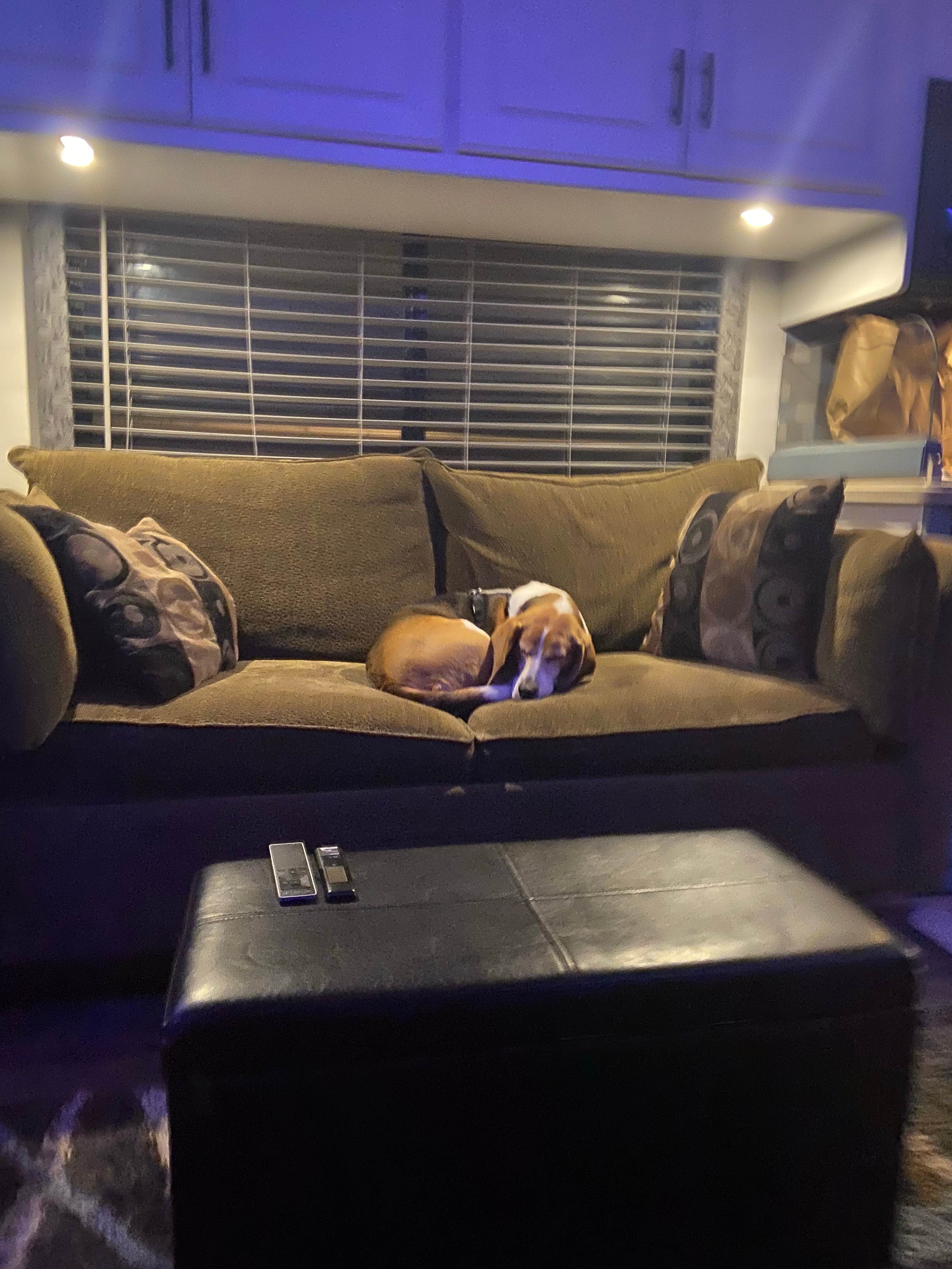 Cindy P.'s photo of camping with pets at Granite Hill Camping Resort near Gettysburg, PA