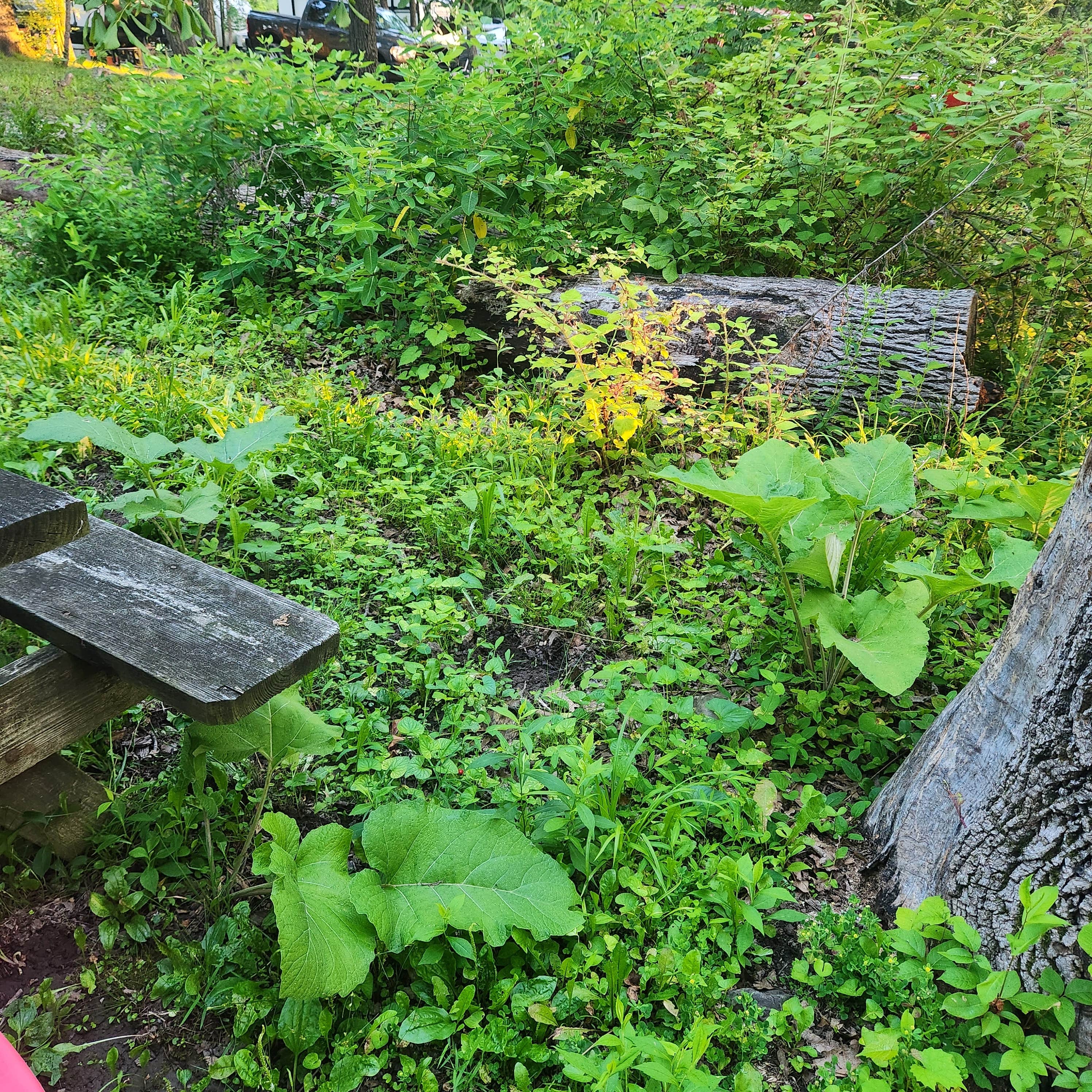 Camper-submitted photo at Granite Hill Camping Resort near Rouzerville, PA