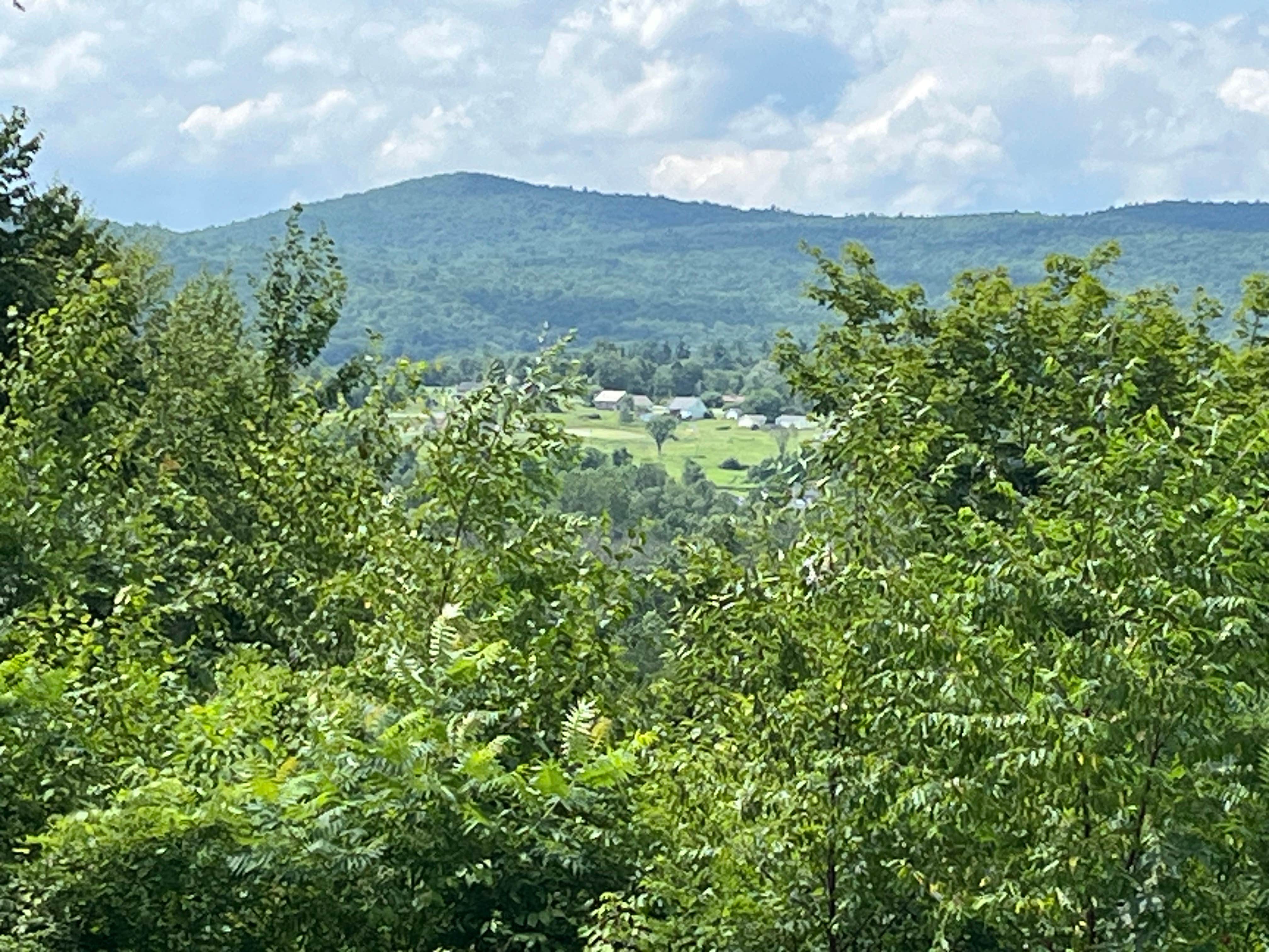 Nature