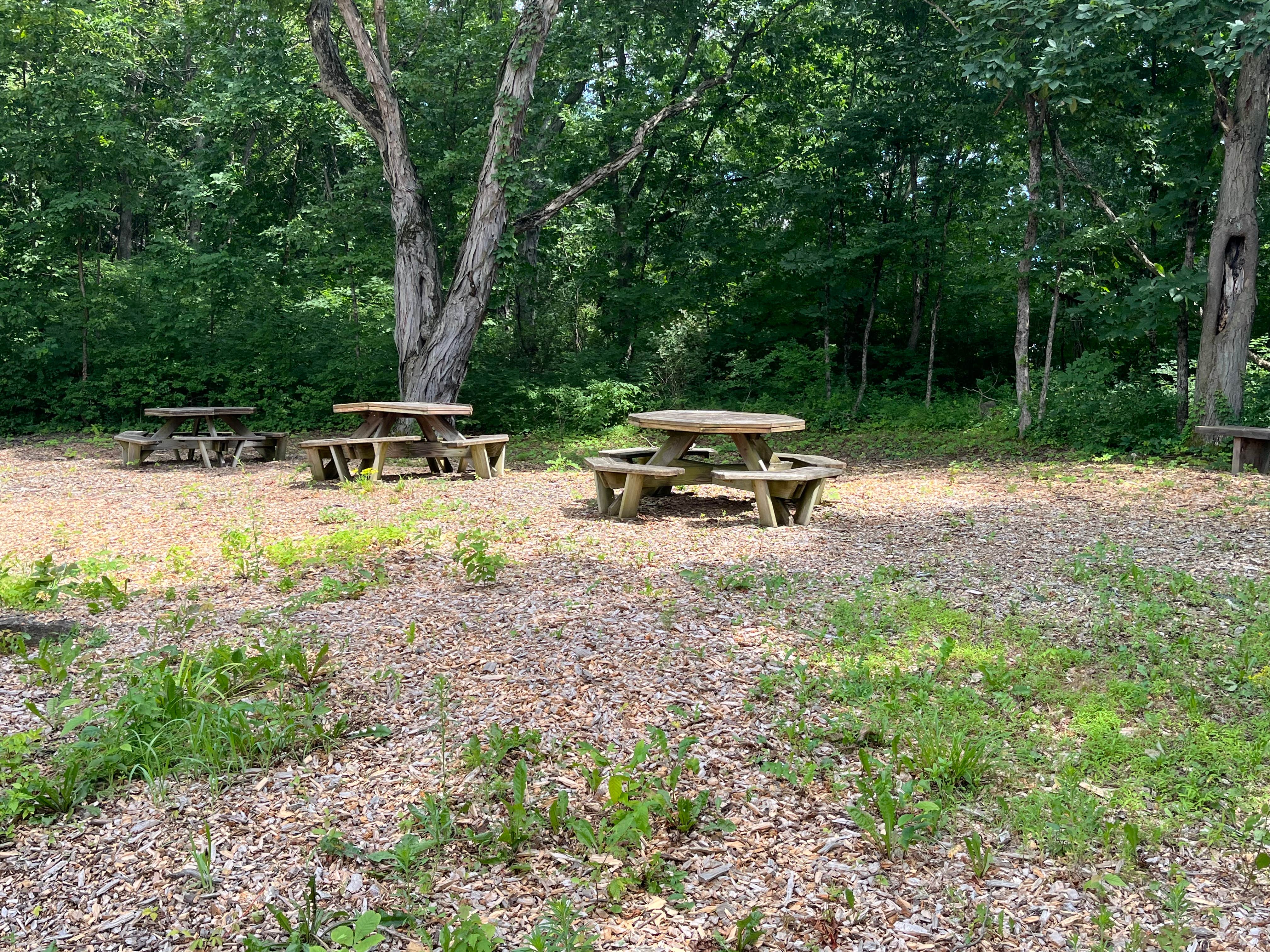 Camper submitted image from Granite Hill Lodge and Campground - 4