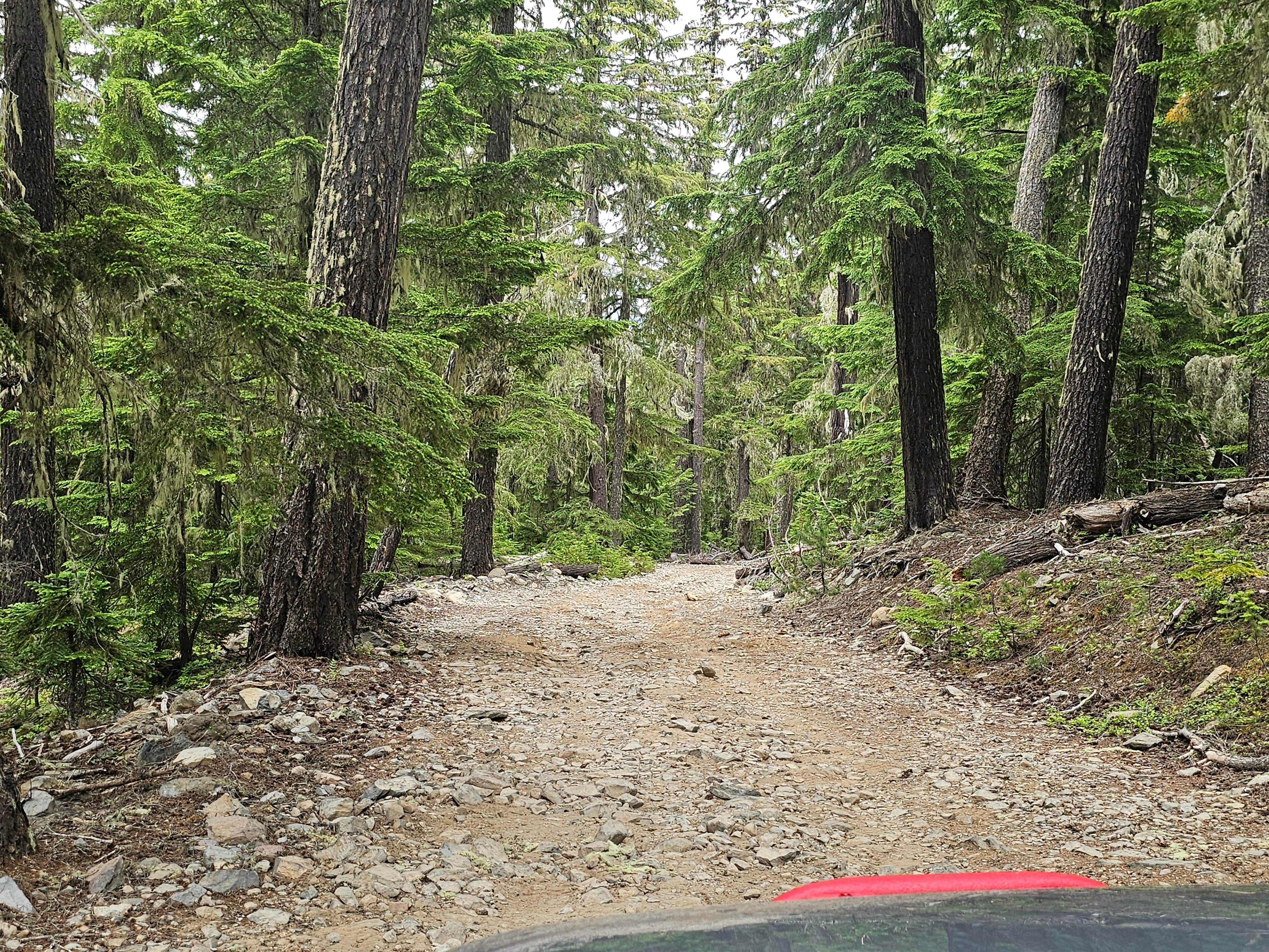 Camper submitted image from Granite Lake Dispersed Camping Area - 3