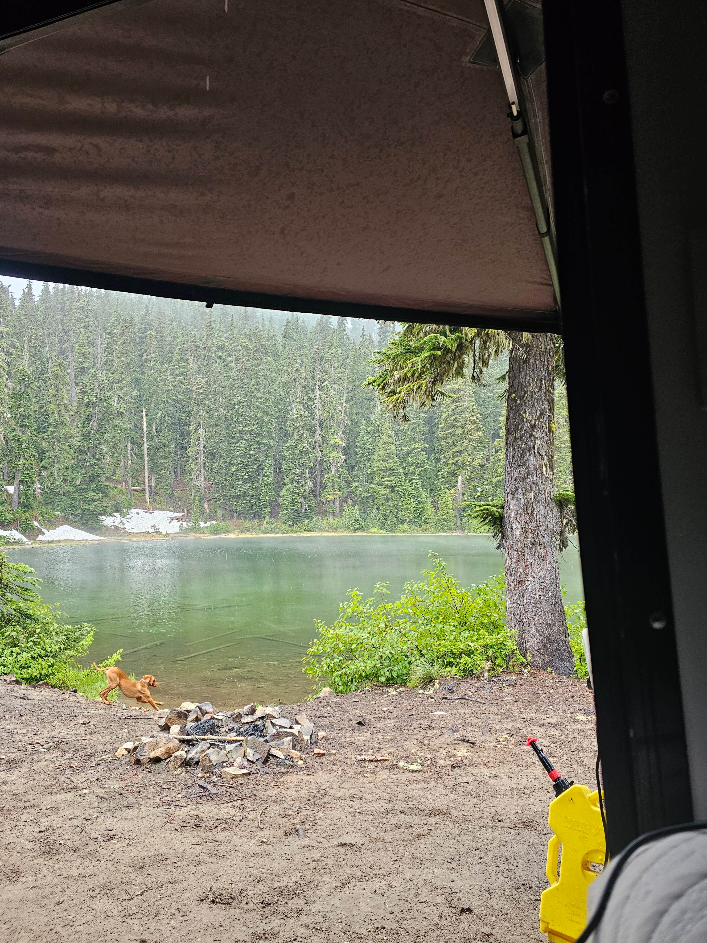 SpentBrassOffroad B.'s photo of tent camping at Granite Lake Dispersed Camping Area near Cle Elum, WA