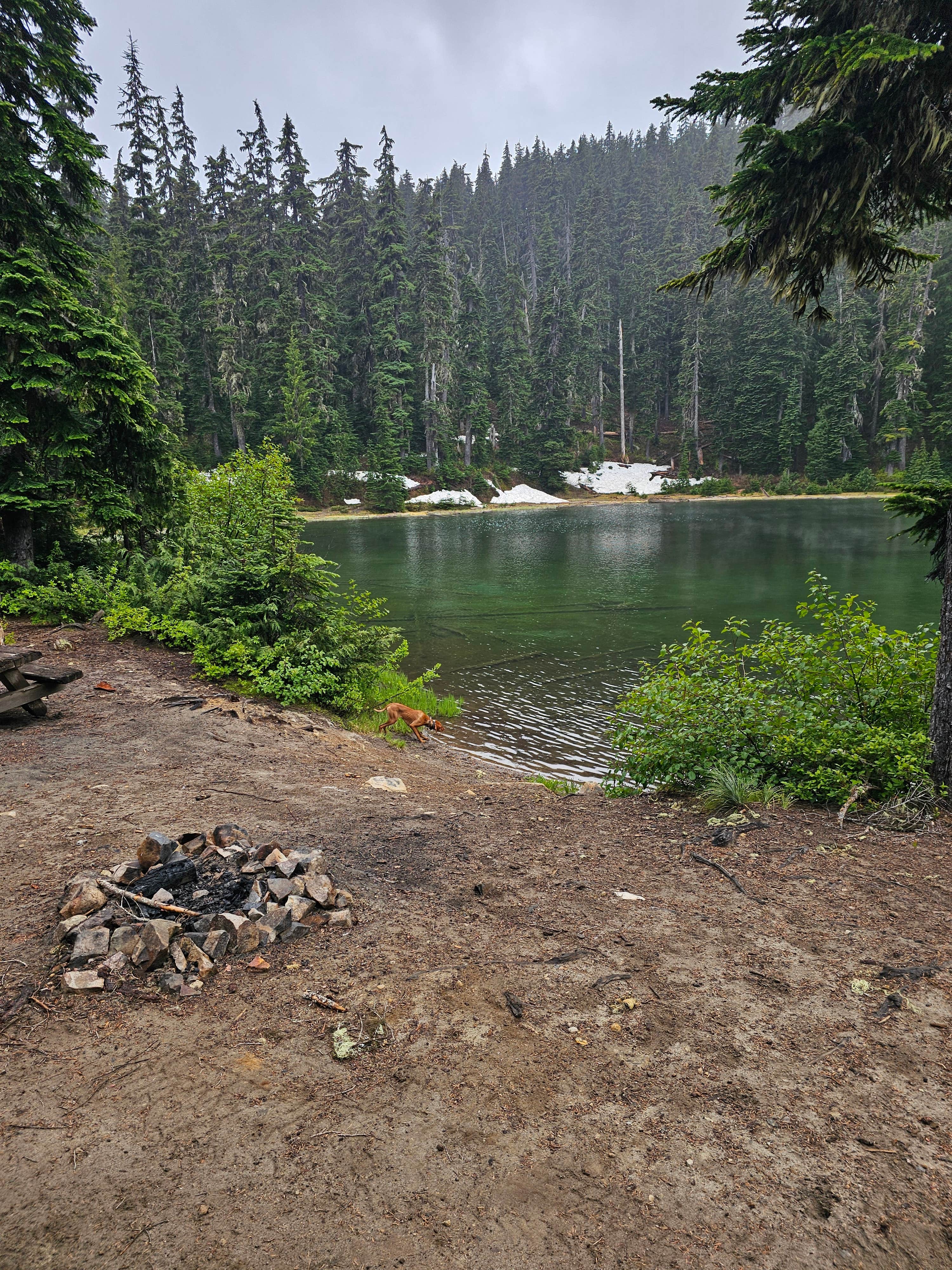 Camper-submitted photo at Granite Lake Dispersed Camping Area near Goose Prairie, WA