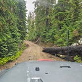 Review photo of Granite Lake Dispersed Camping Area by SpentBrassOffroad B., June 24, 2025