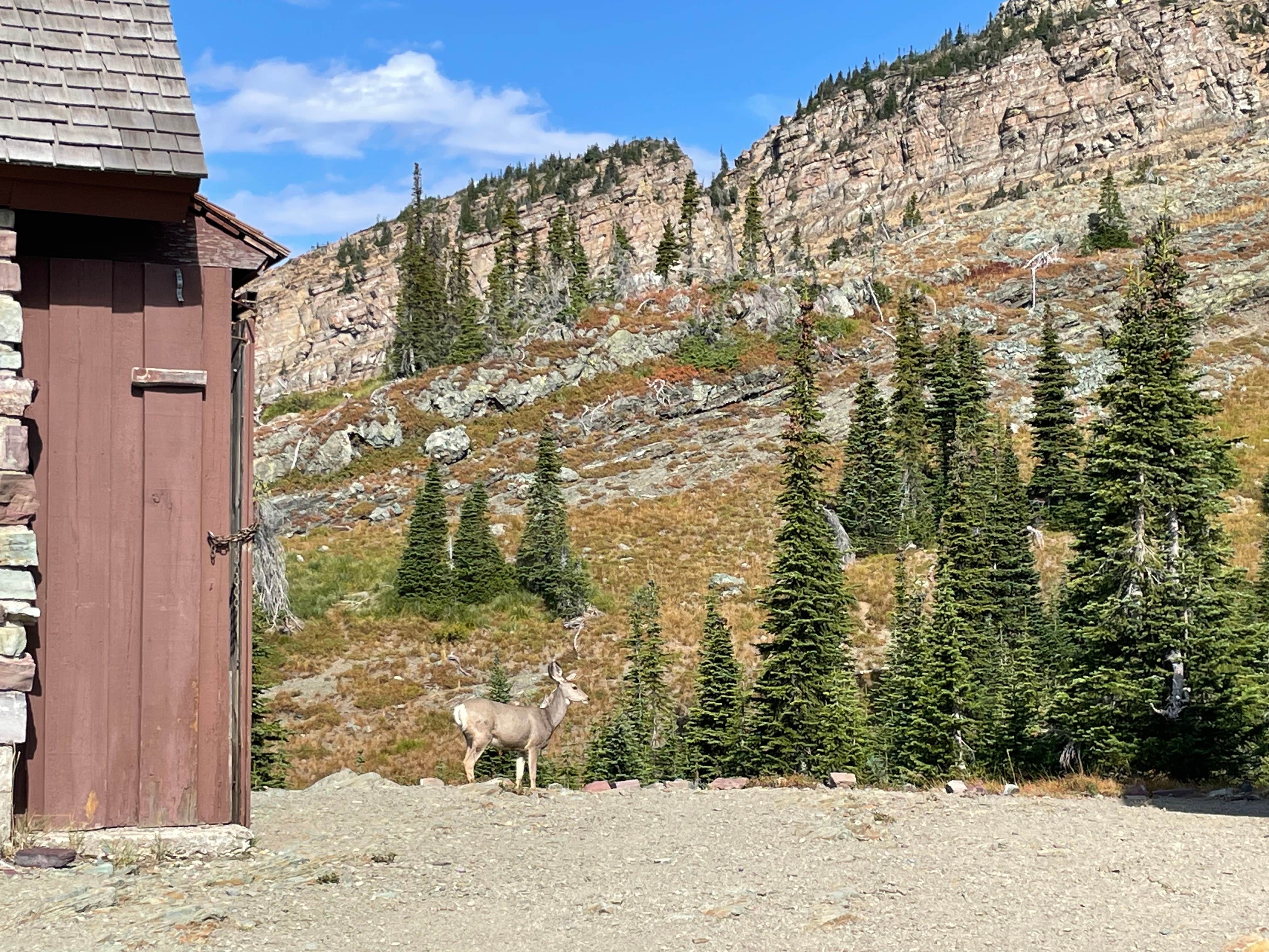 Camper-submitted photo at Granite Park Wilderness Campsite — Glacier National Park near Glacier National Park
