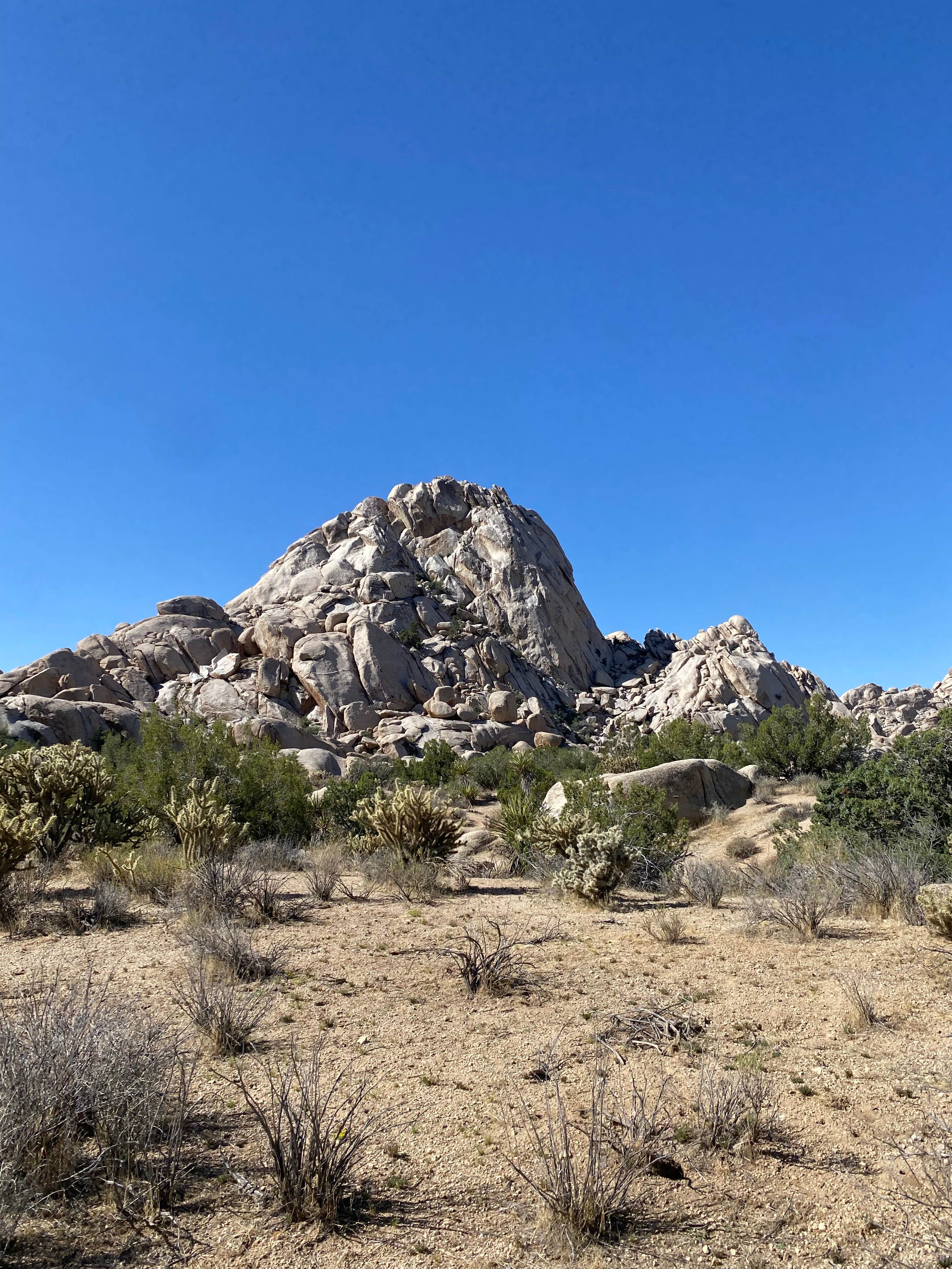 Camper-submitted photo at Granite Pass Dispersed Roadside Camping — Mojave National Preserve near Amboy, CA
