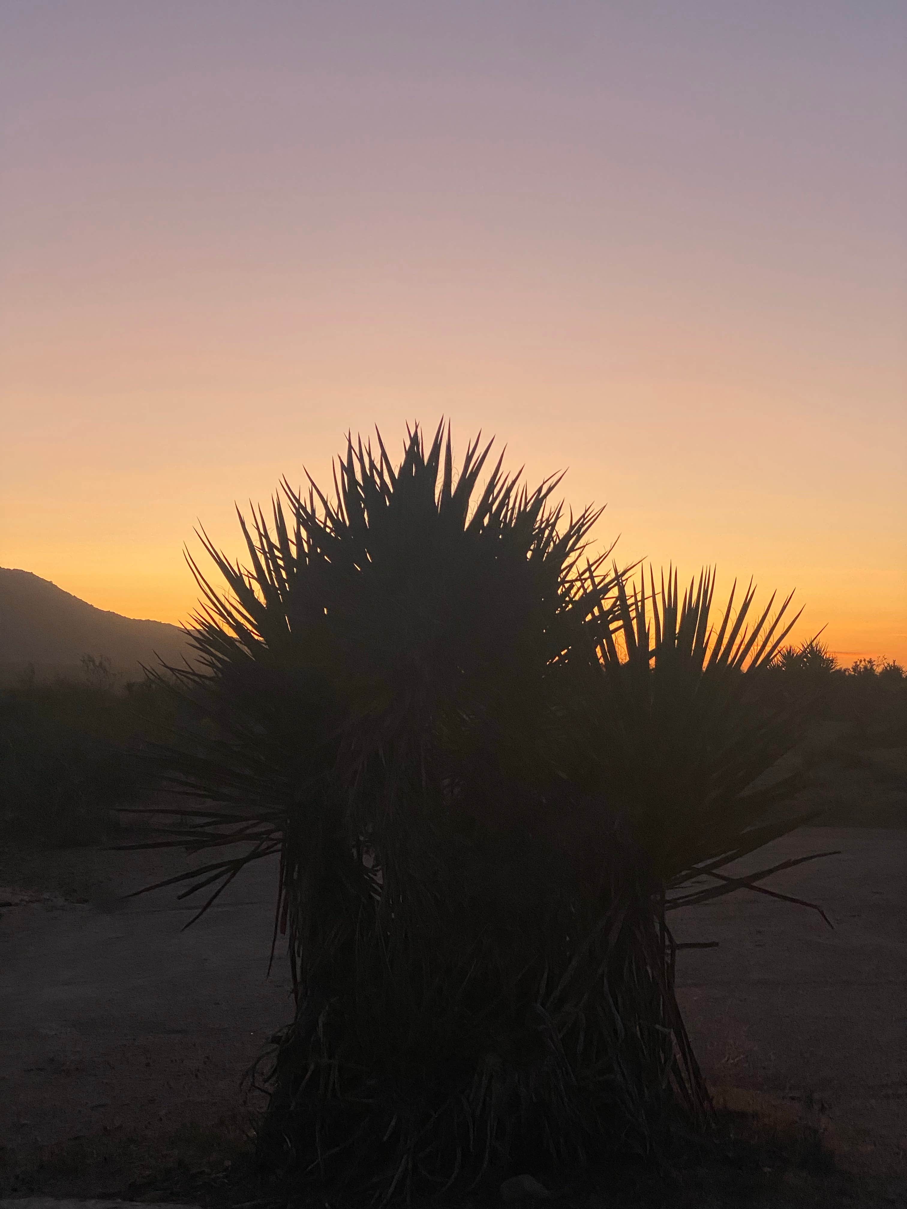 Camper-submitted photo at Granite Pass Dispersed Roadside Camping — Mojave National Preserve near Mojave National Preserve