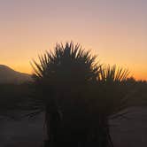 Review photo of Granite Pass Dispersed Roadside Camping — Mojave National Preserve by Benjamin G., June 23, 2025