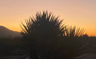 Benjamin G.'s photo of a dispersed camping area at Granite Pass Dispersed Roadside Camping — Mojave National Preserve near Baker, CA
