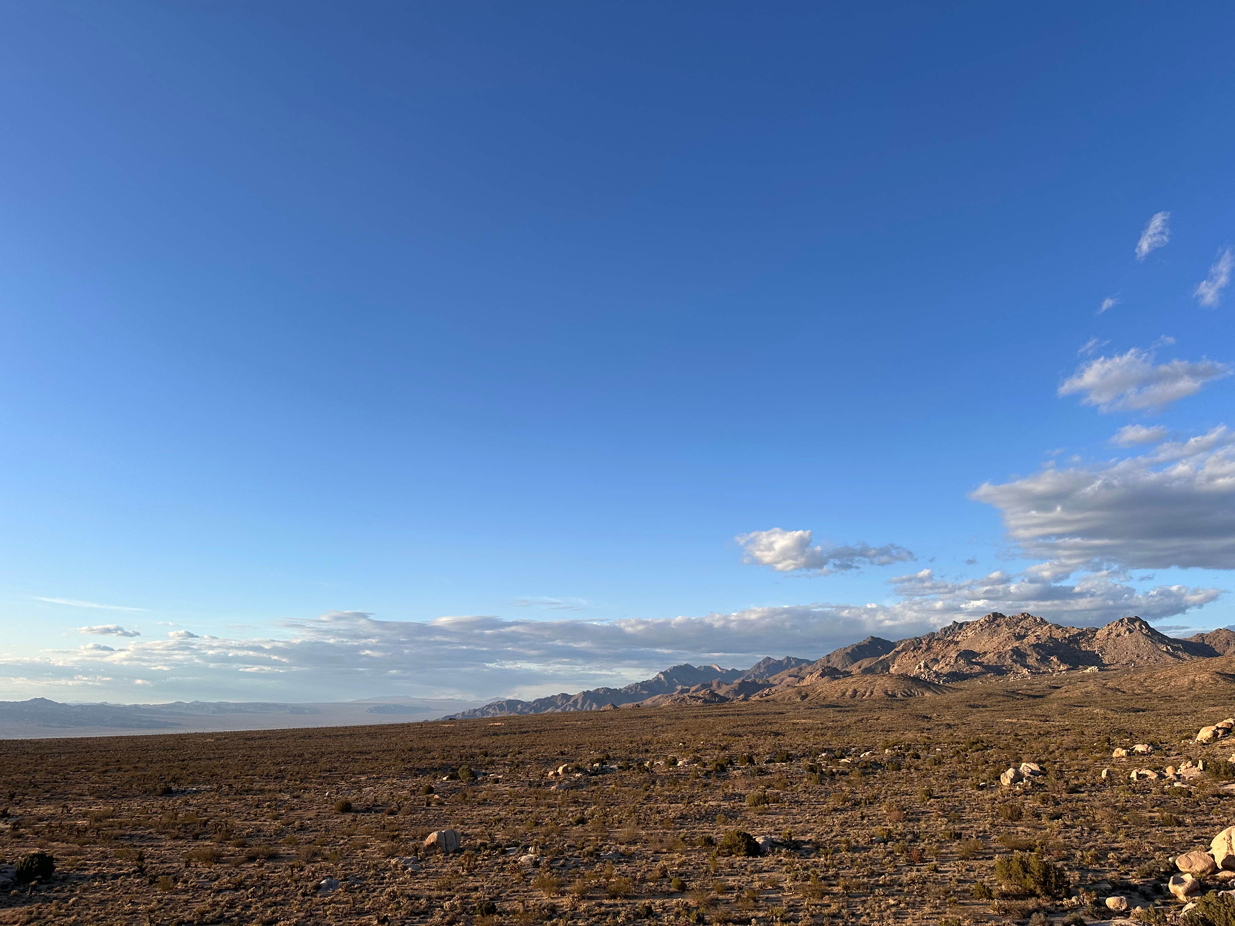 Camper submitted image from Granite Pass Dispersed — Mojave National Preserve - 2
