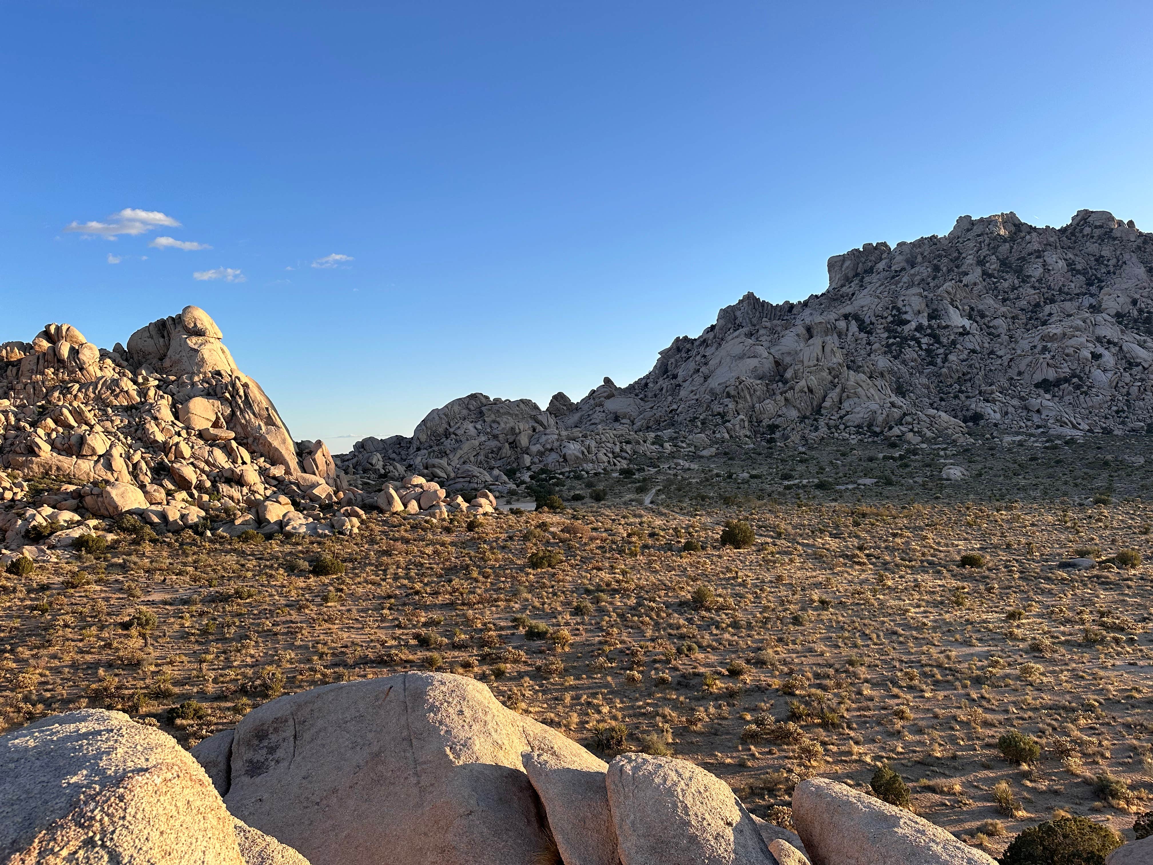 Camper submitted image from Granite Pass Dispersed — Mojave National Preserve - 1
