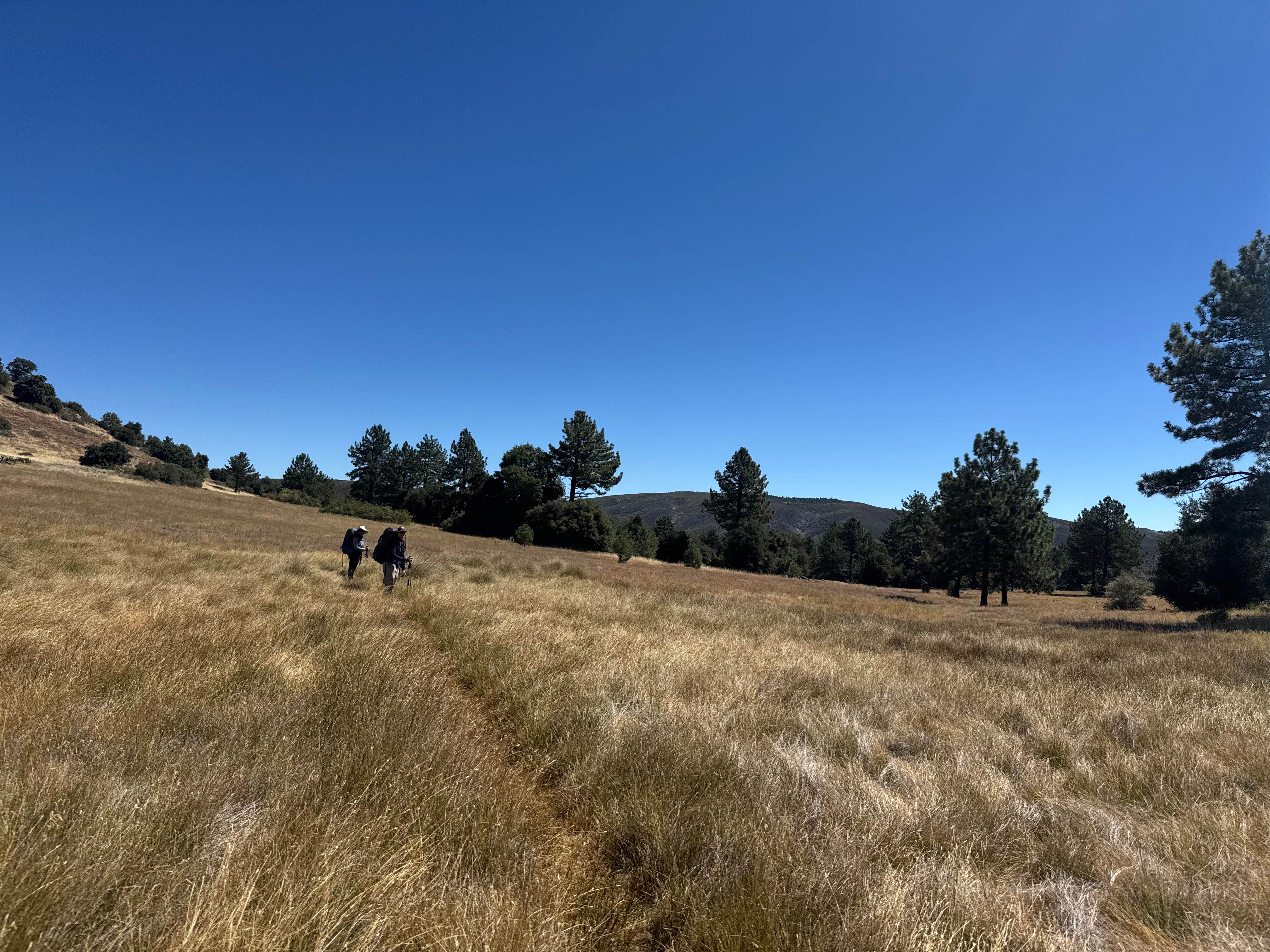 Camper-submitted photo at Granite Springs near Julian, CA