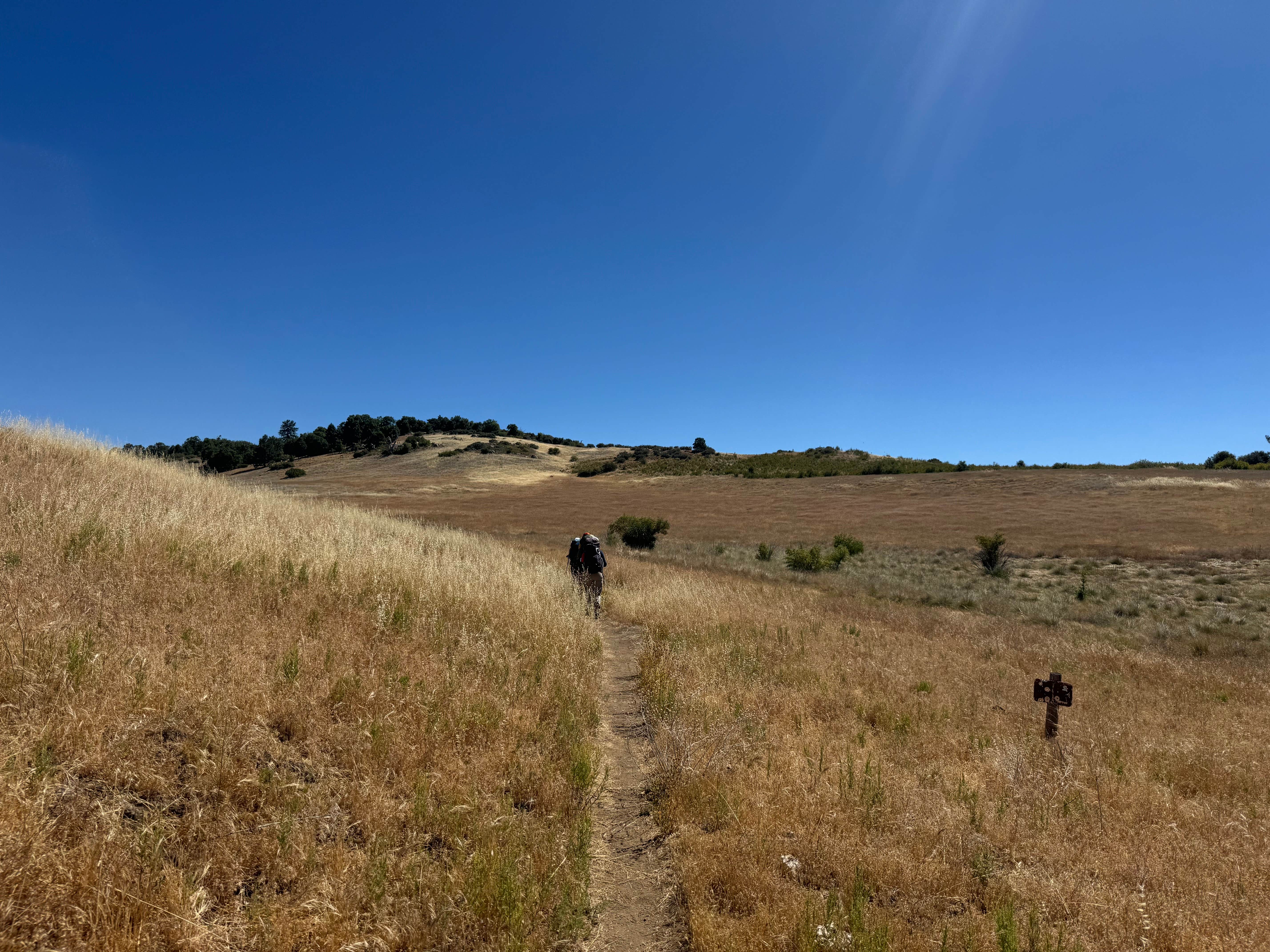 Camper-submitted photo at Granite Springs near Julian, CA