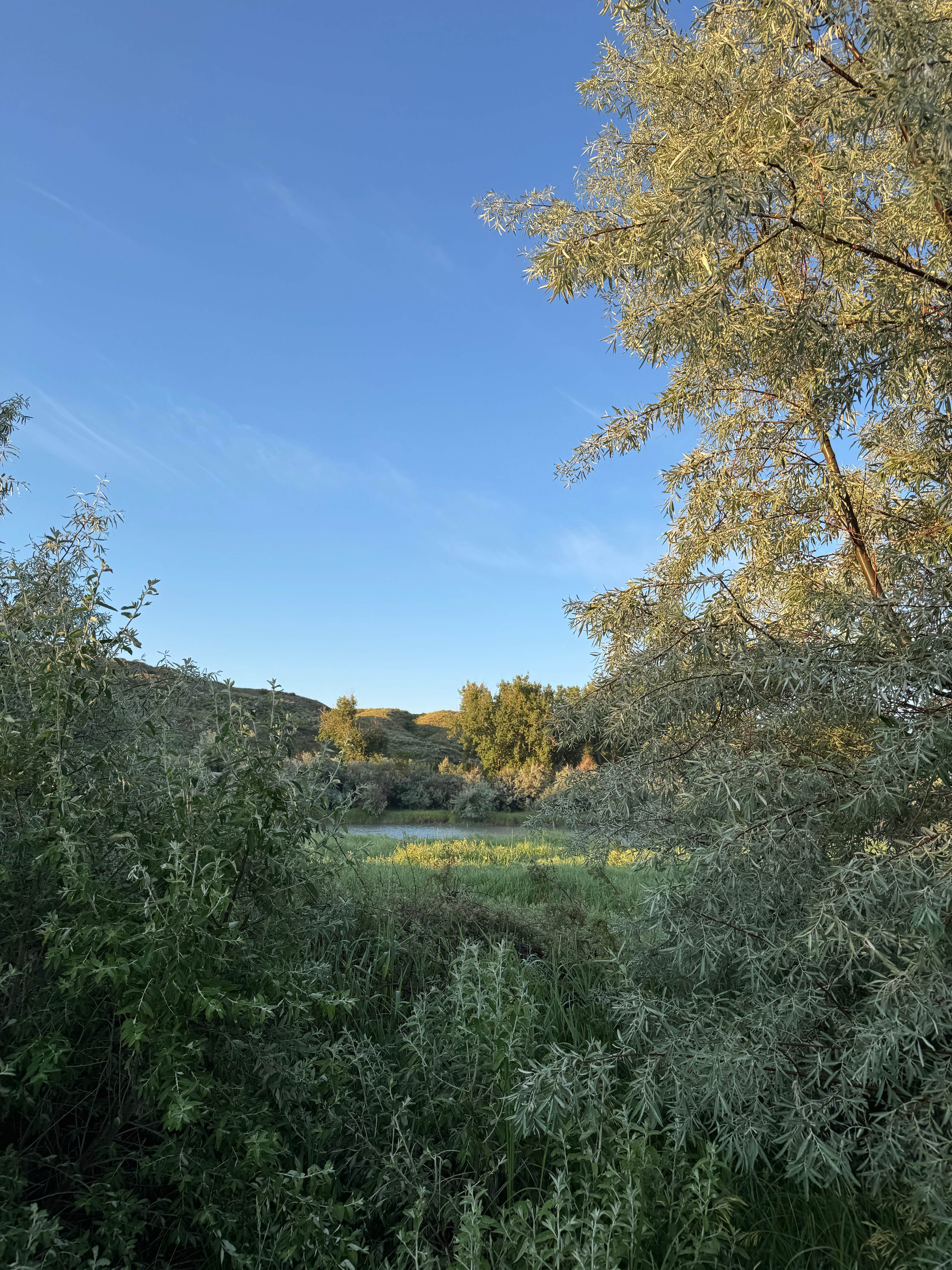 Camper-submitted photo at Grant Marsh near Pompeys Pillar, MT