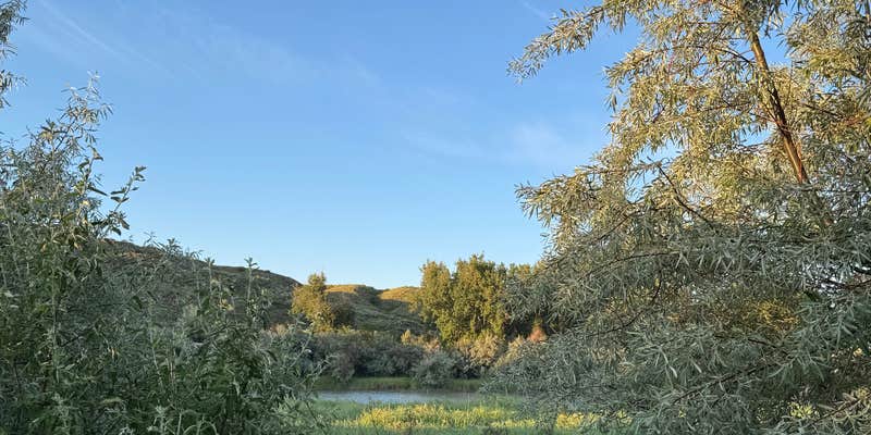 Camper submitted image from Grant Marsh