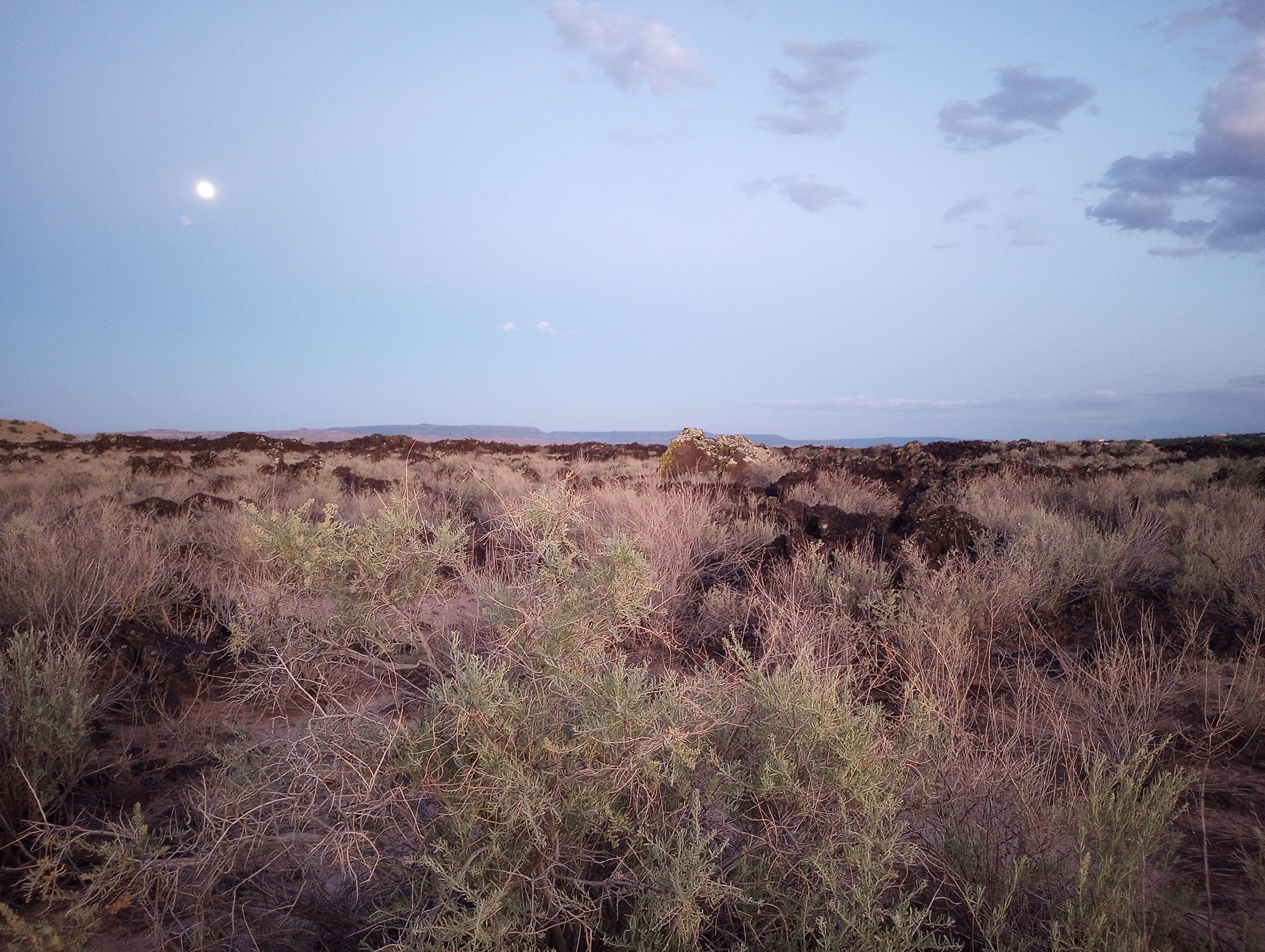 Camper-submitted photo at Grants KOA Journey near Prewitt, NM