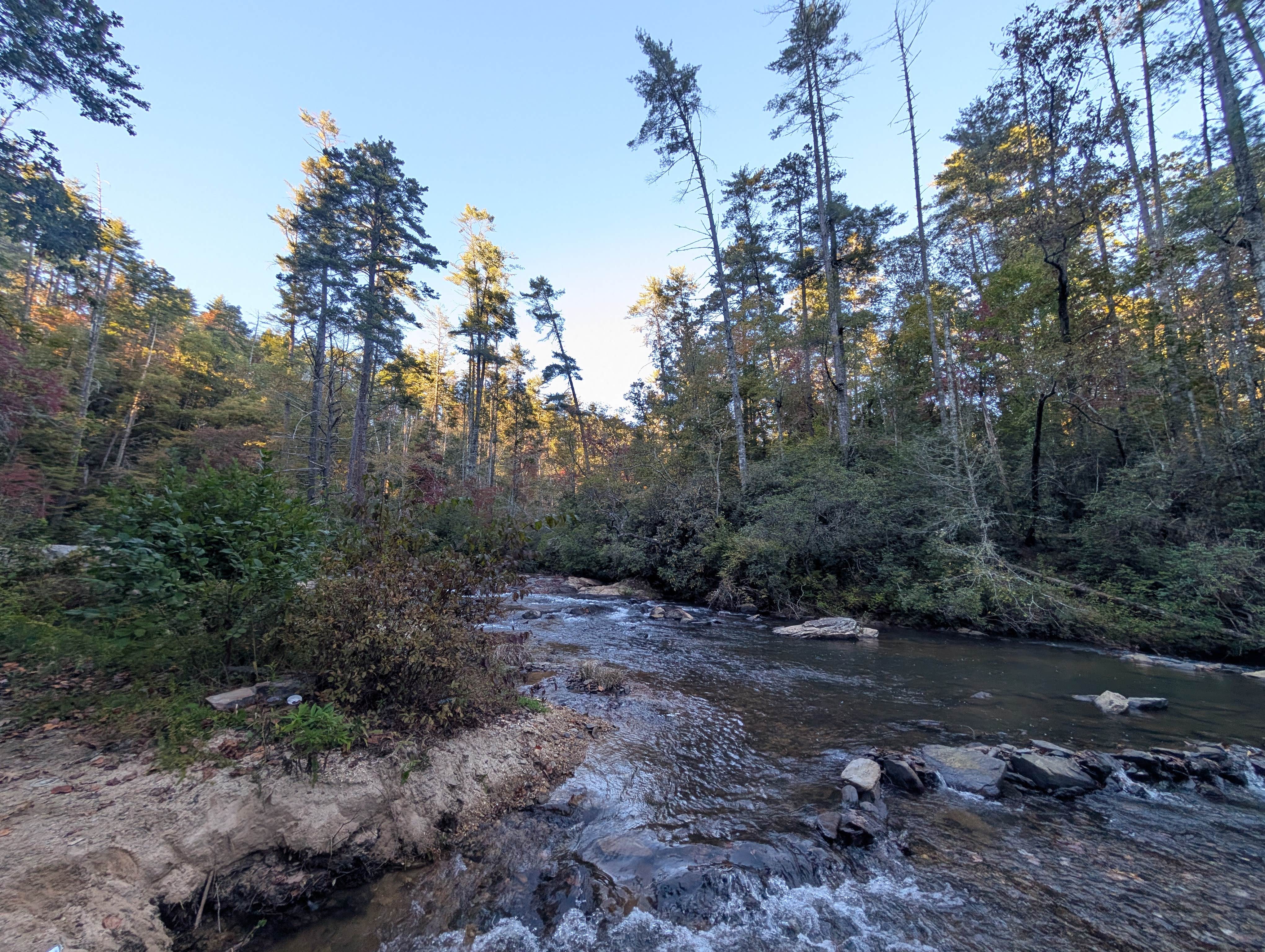 Camper-submitted photo at Grapevine Campground near Townville, SC
