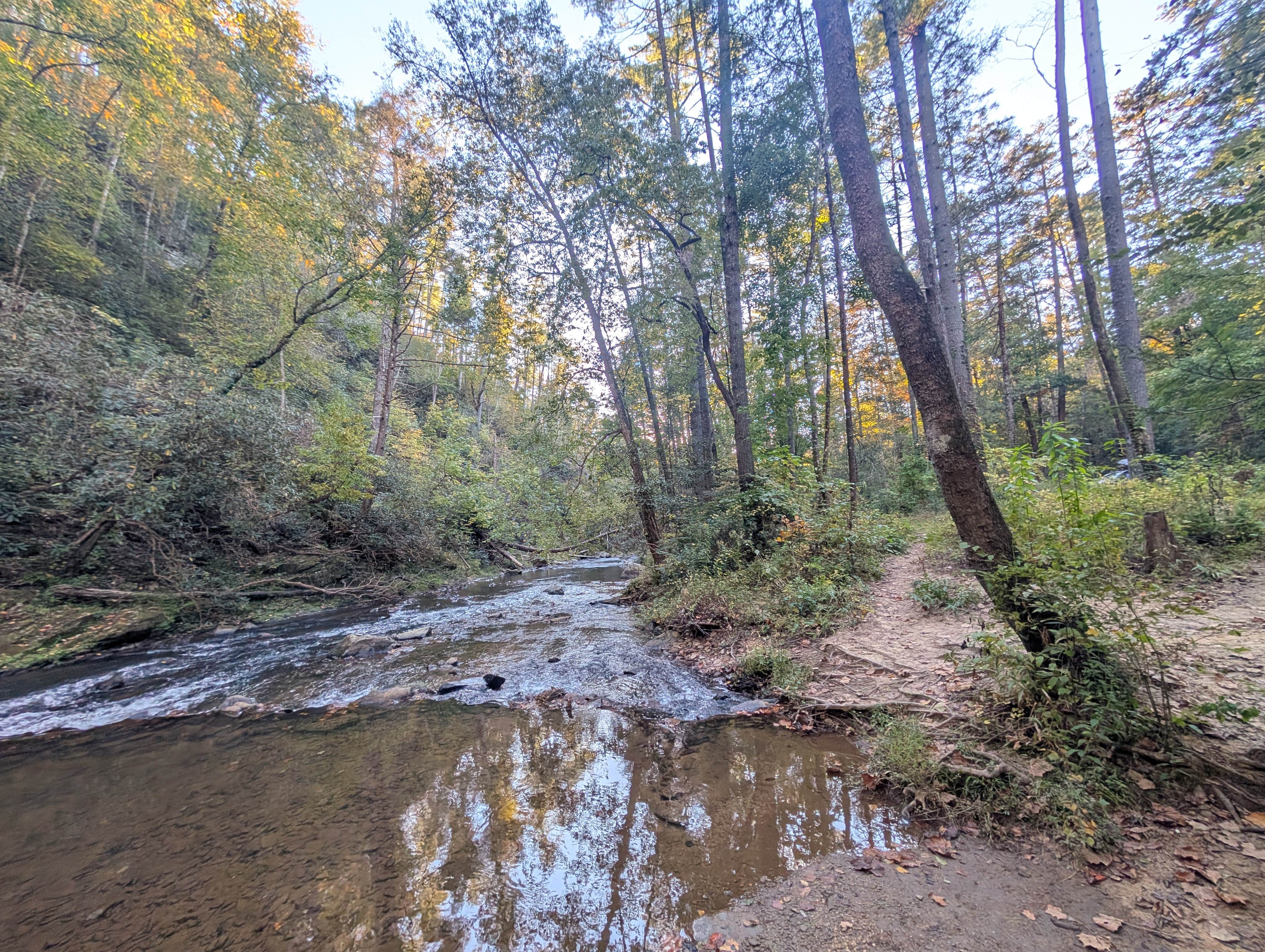 Camper-submitted photo at Grapevine Campground near Townville, SC