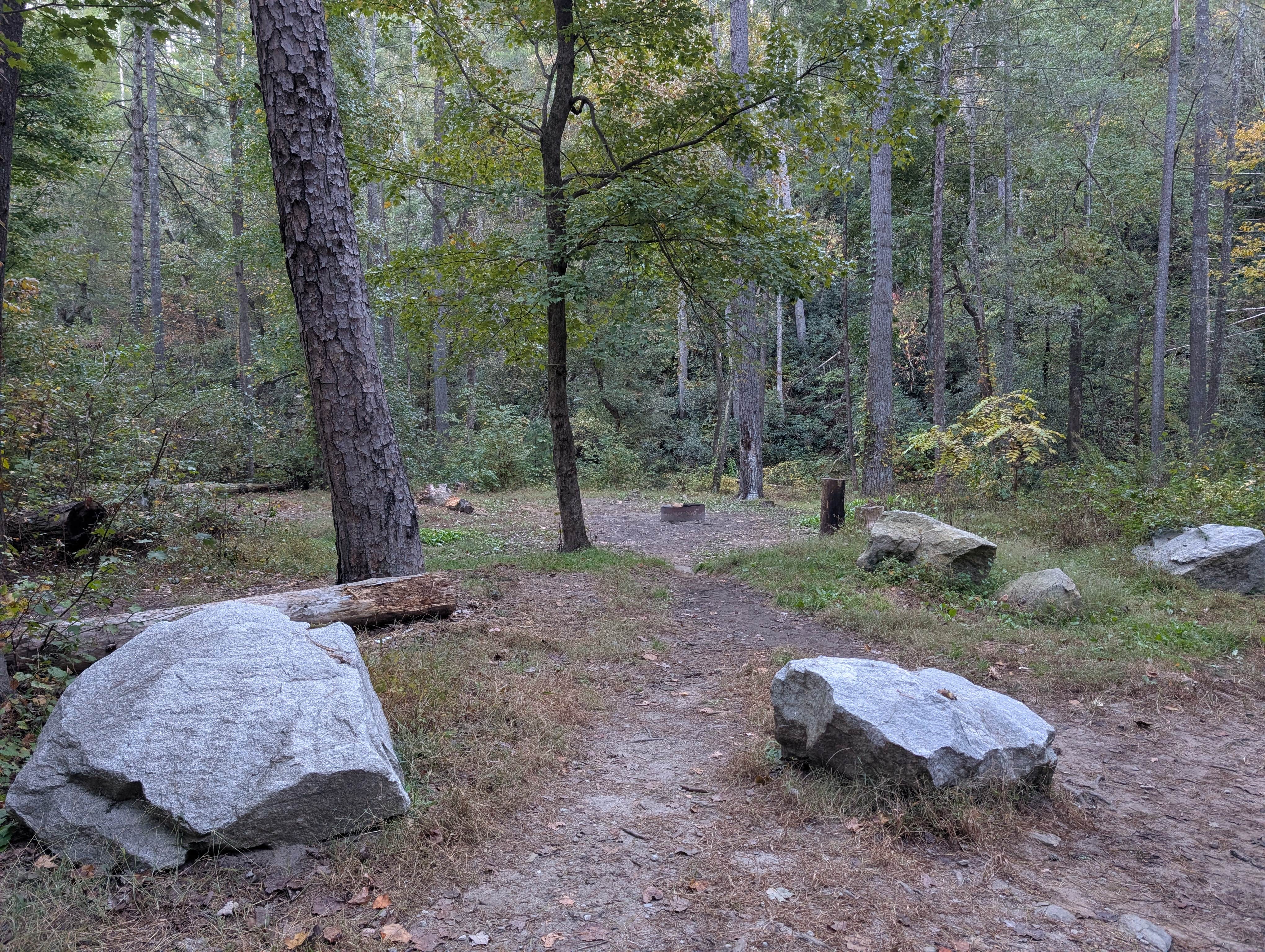 Camper-submitted photo at Grapevine Campground near Townville, SC
