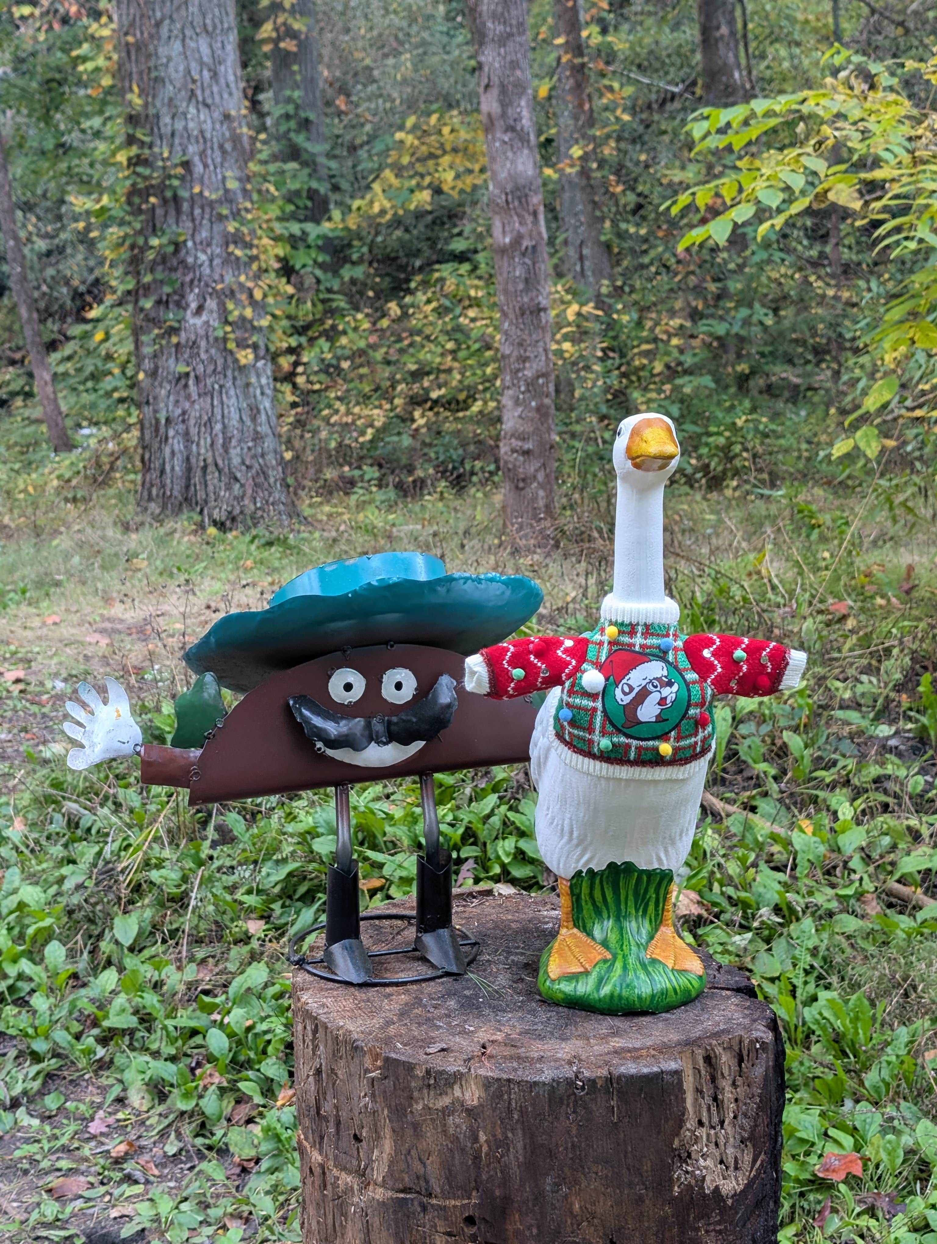 Camping near Mountain Rest Mountain Top: Grapevine Campground, Long Creek, South Carolina
