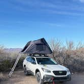 Review photo of Grapevine Hills 2 & 3 by Vinny D., February 5, 2026