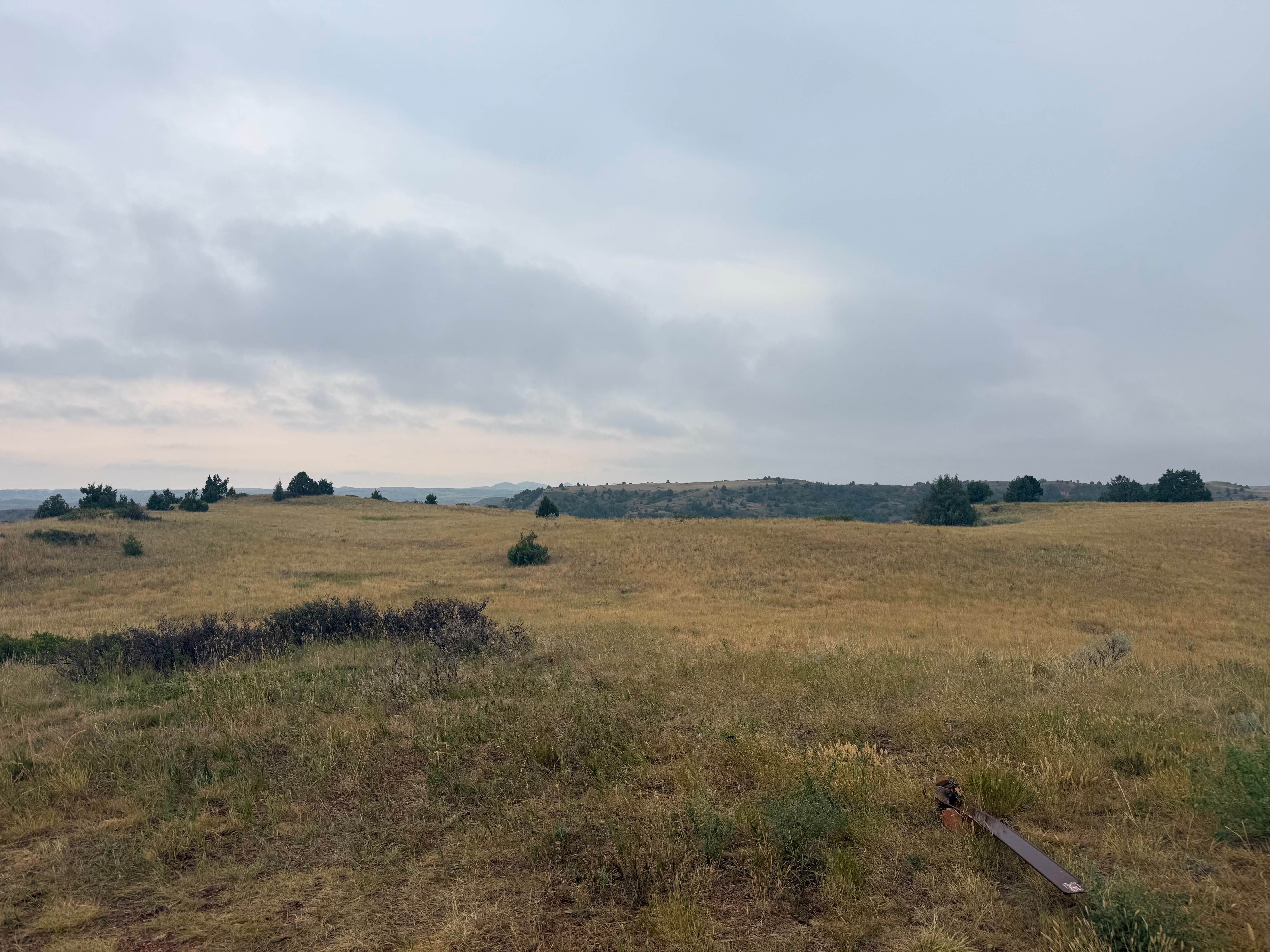 grasslands boondocking