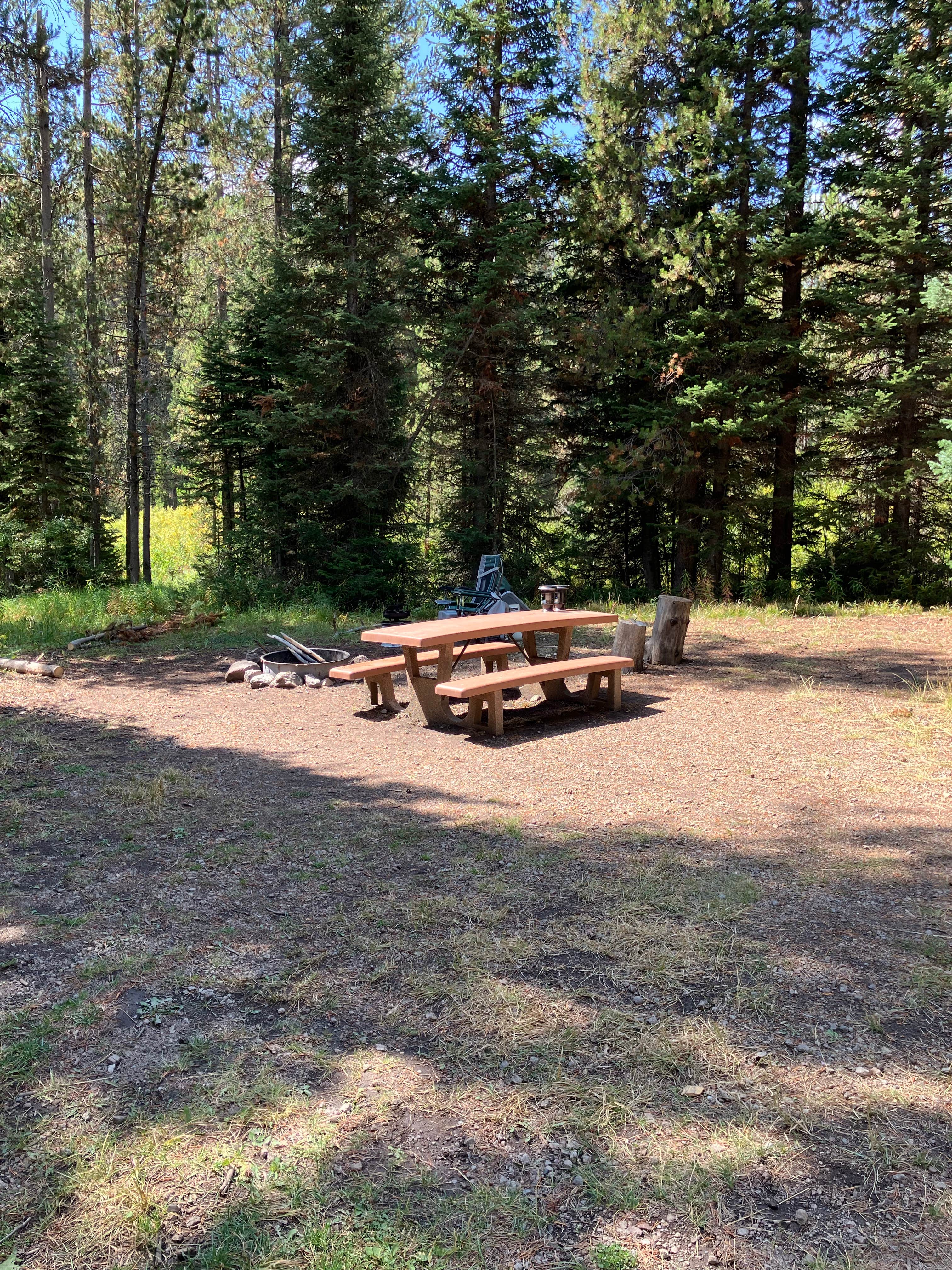Camper-submitted photo at Grassy Lake Rd — John D. Rockefeller, Jr., Memorial Parkway near Yellowstone National Park