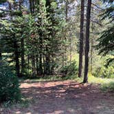 Review photo of Grassy Lake Rd — John D. Rockefeller, Jr., Memorial Parkway by gary E., September 20, 2025