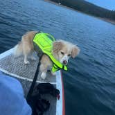 Review photo of Grassy Lake Reservoir Dispersed Camping by Ashlin A., July 20, 2026
