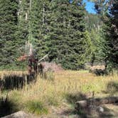 Review photo of Grassy Lake Dispersed Camping by Laura H., September 25, 2026