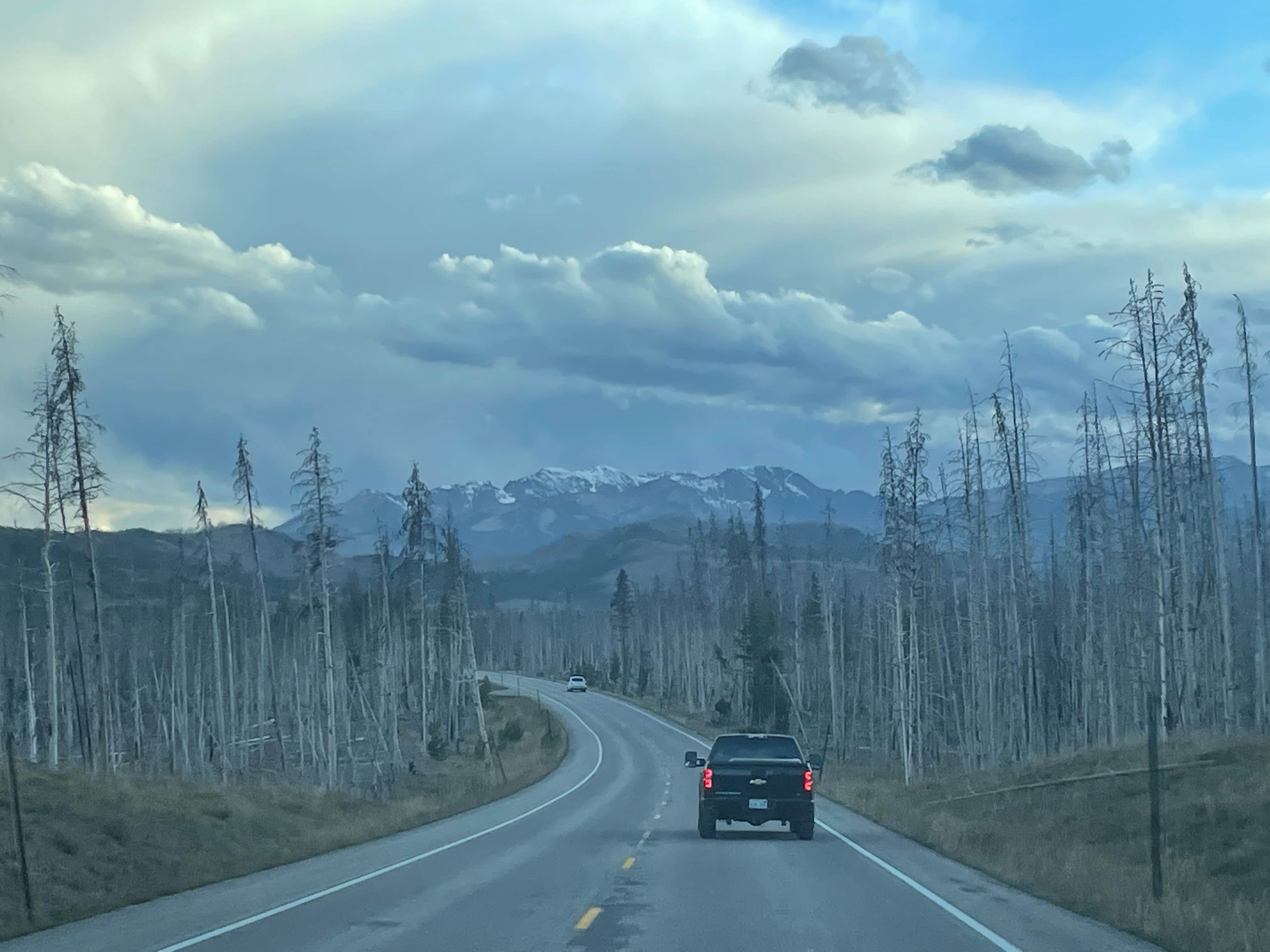 Camper submitted image from Grassy Lake Dispersed Camping - 2