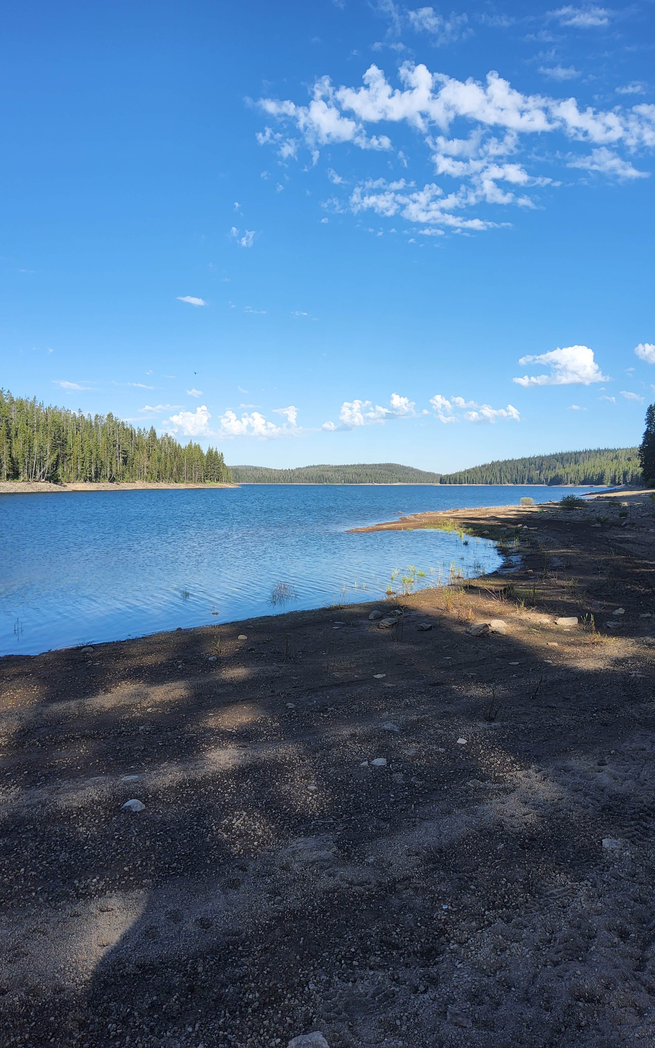 Camper-submitted photo at Grassy Reservoir Dispersed near John D. Rockefeller Jr. Memorial Parkway