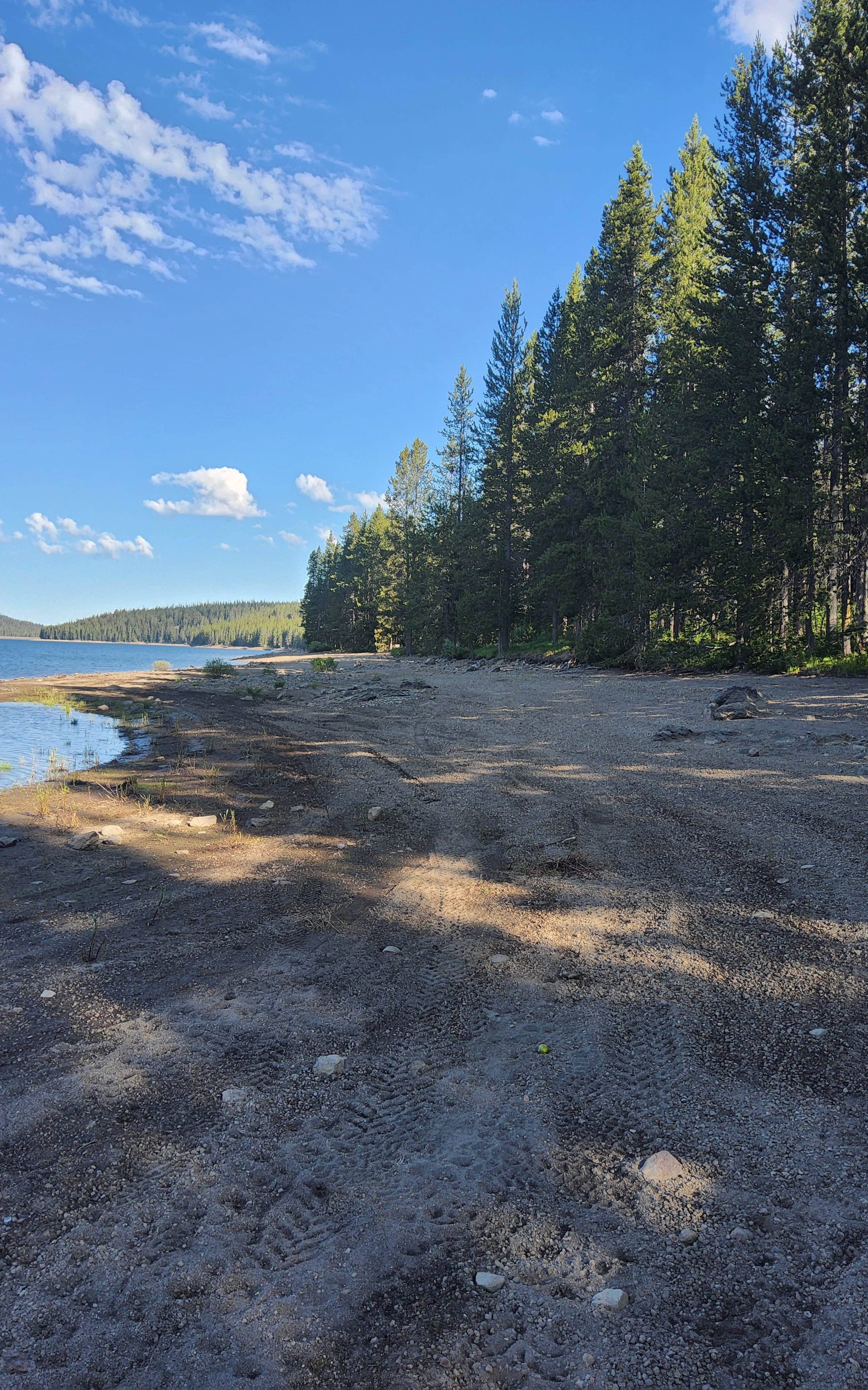 Camper-submitted photo at Grassy Reservoir Dispersed near John D. Rockefeller Jr. Memorial Parkway