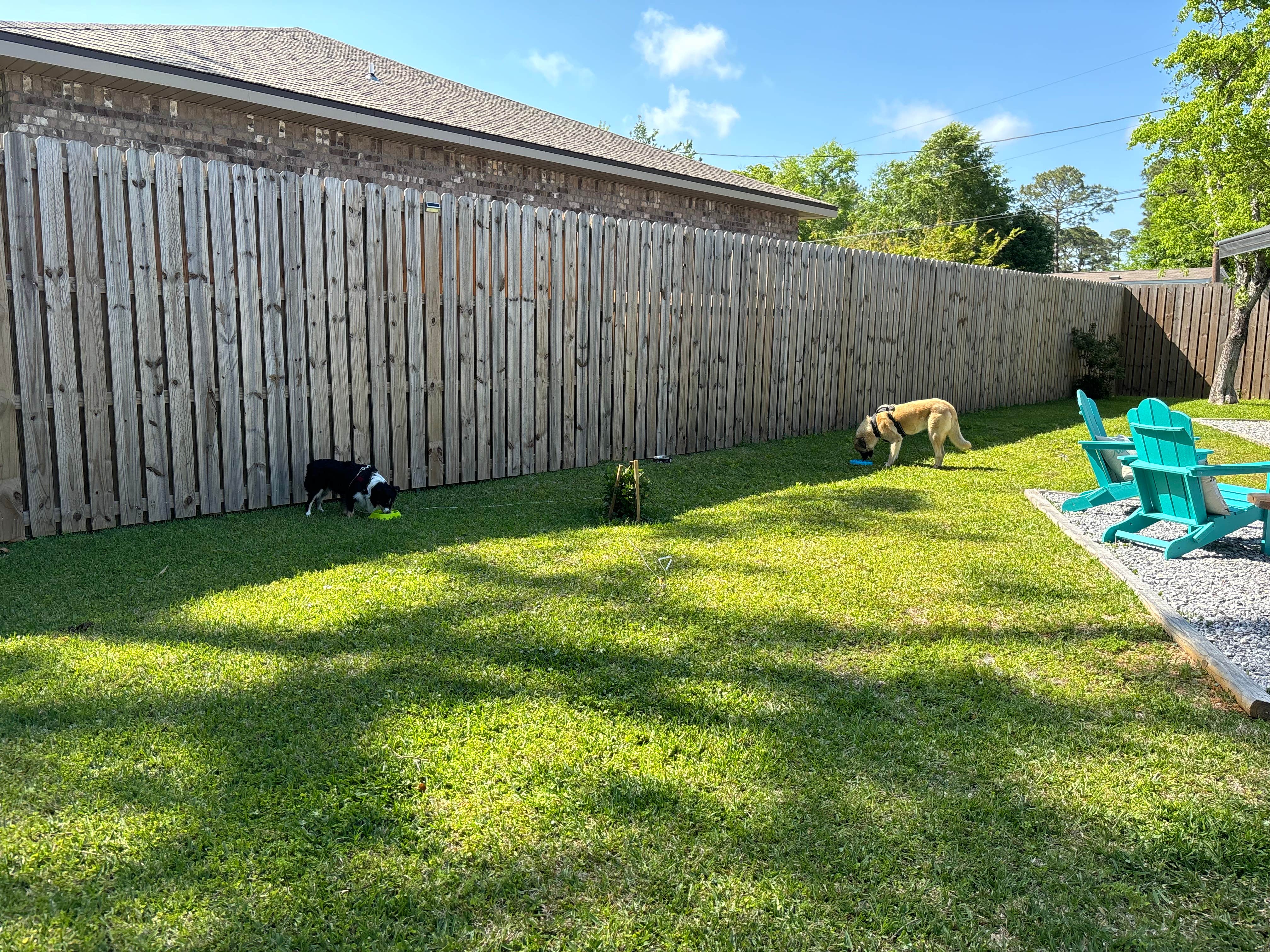 L&A C.'s photo of camping with pets at Grater Rv Hideaway Cove near Destin, FL