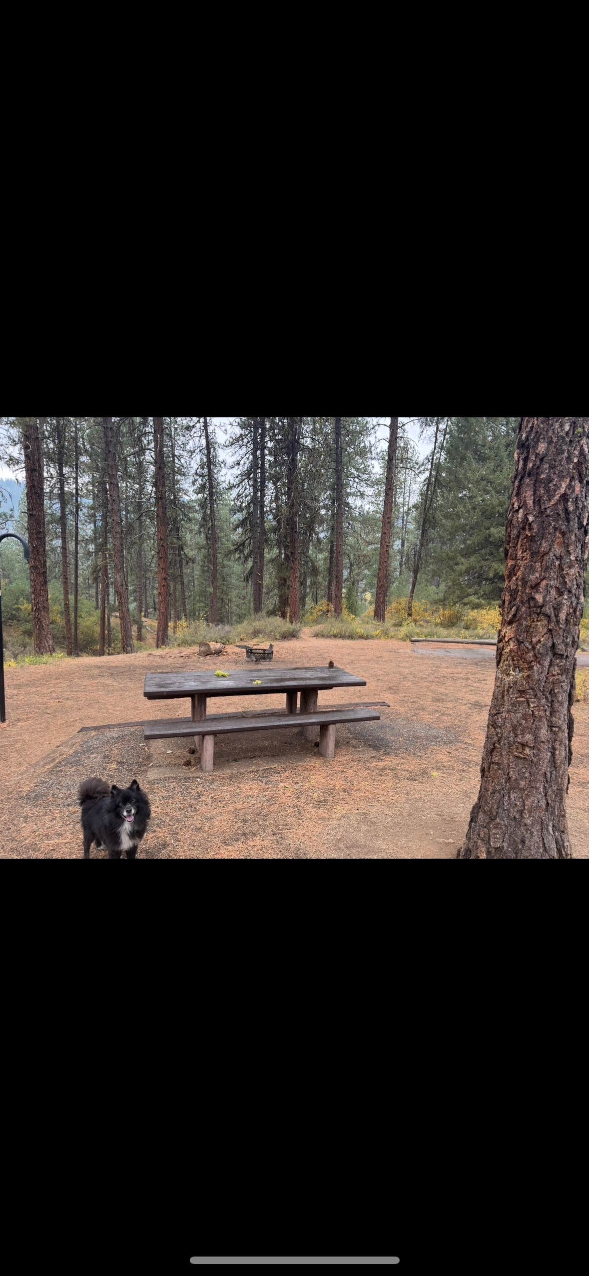 Camper-submitted photo at Grayback Campground and Group Sites - Reserve near Idaho City, ID
