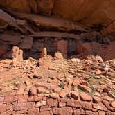 Review photo of Greasy Spoon Dispersed Area by Kevin K., February 5, 2026