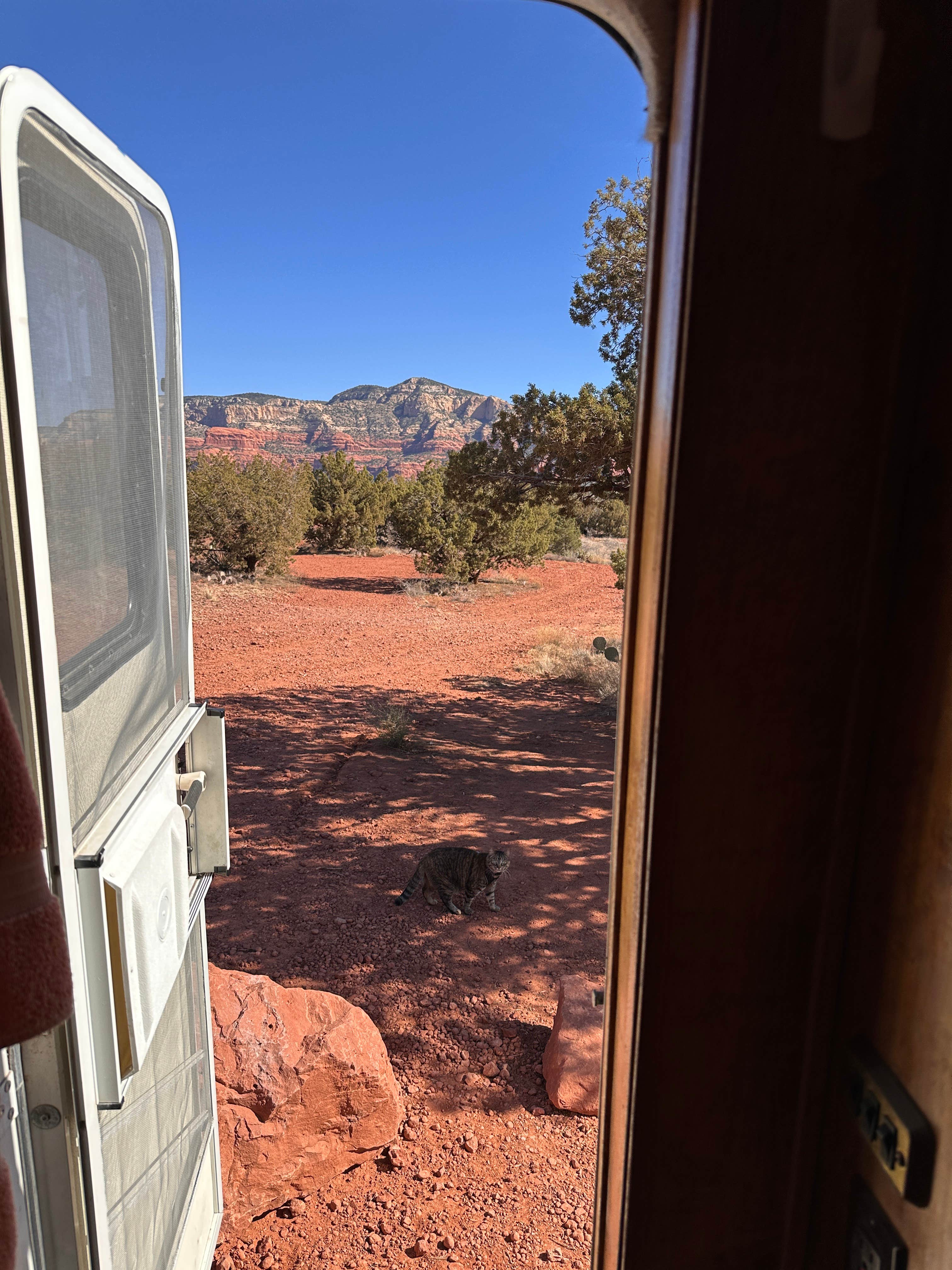 Kathy B.'s photo of camping with pets at Greasy Spoon Dispersed Area near Cottonwood, AZ