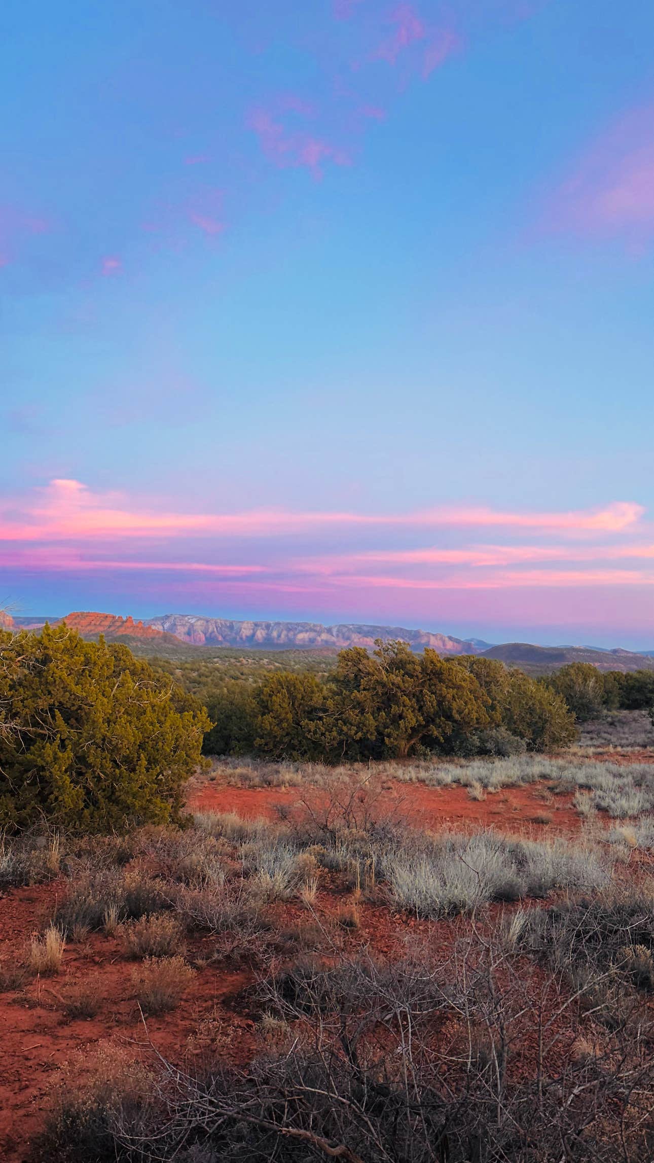 Camper-submitted photo at Greasy Spoon Dispersed Area near Coconino National Forest Recreation