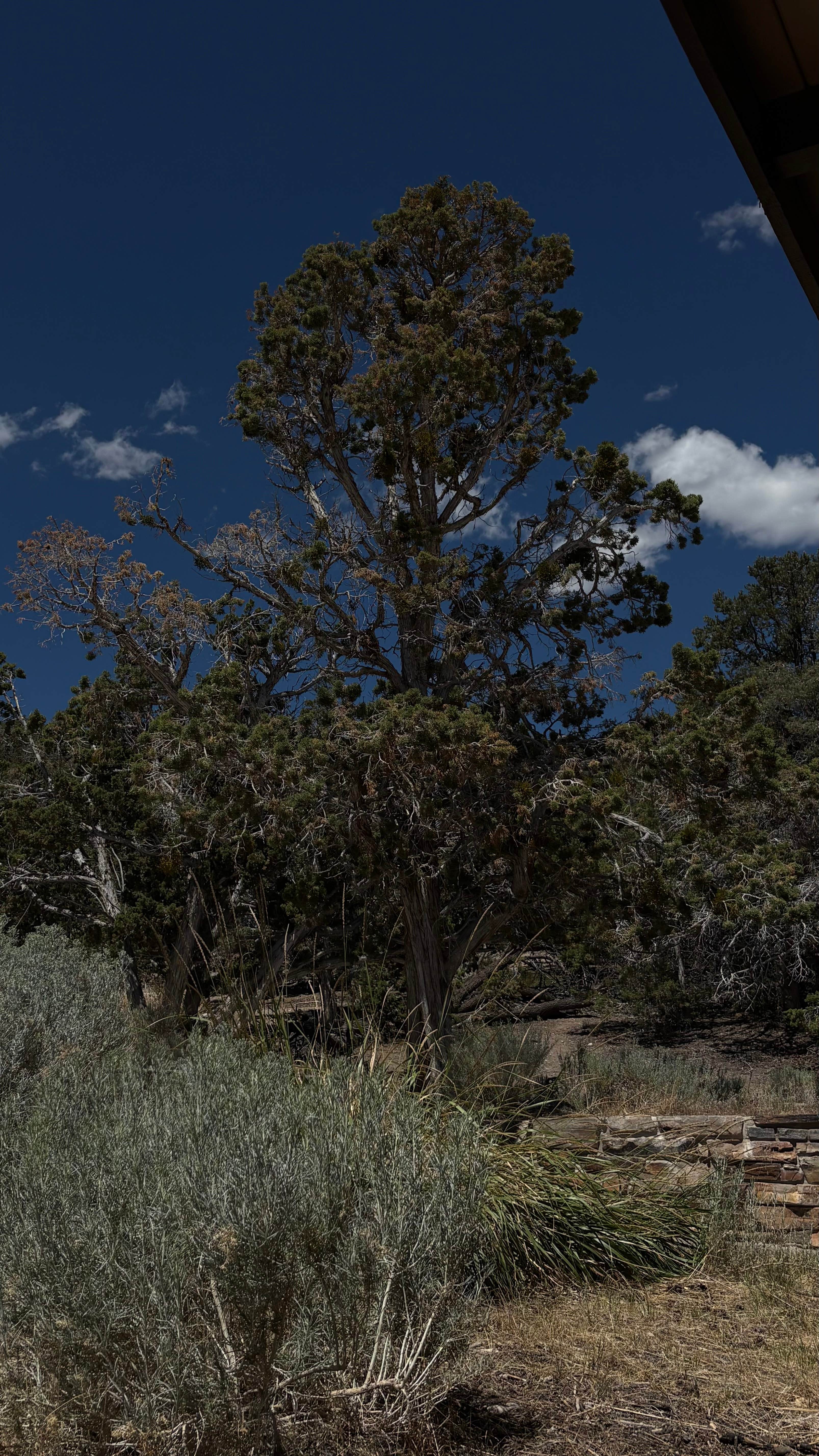Camper-submitted photo at Great Basin Desert Camping & RV near Great Basin National Park