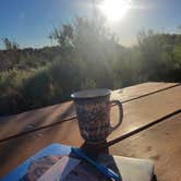 Review photo of Great Basin Desert Camping & RV by Amber G., June 13, 2026