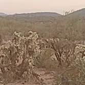 Review photo of Old Airstrip Camping & Staging Area by William M., December 12, 2024
