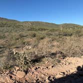 Review photo of Old Airstrip Camping & Staging Area by Joshua K., February 1, 2026