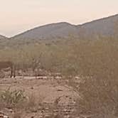 Review photo of Old Airstrip Camping & Staging Area by William M., December 12, 2024