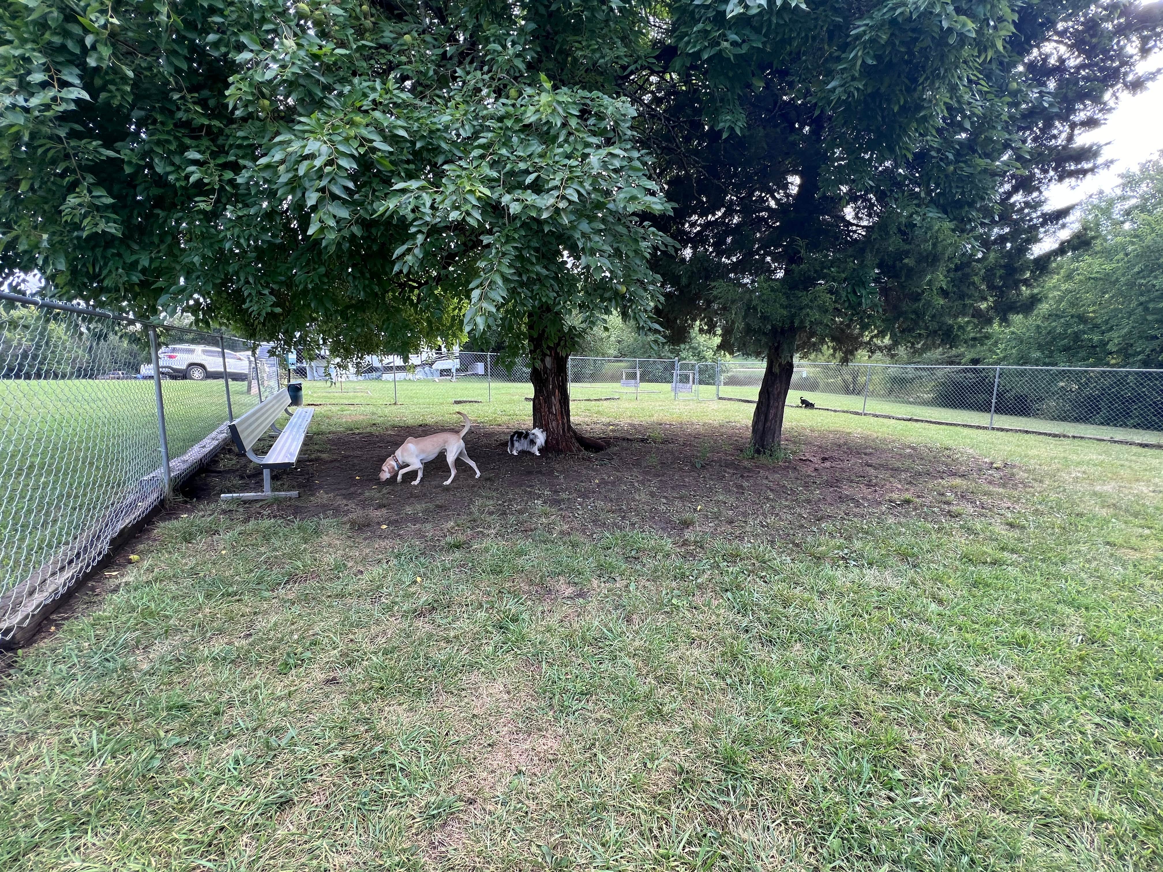 Camper-submitted photo at Great Escape RV Park & Campground near Oak Grove, MO